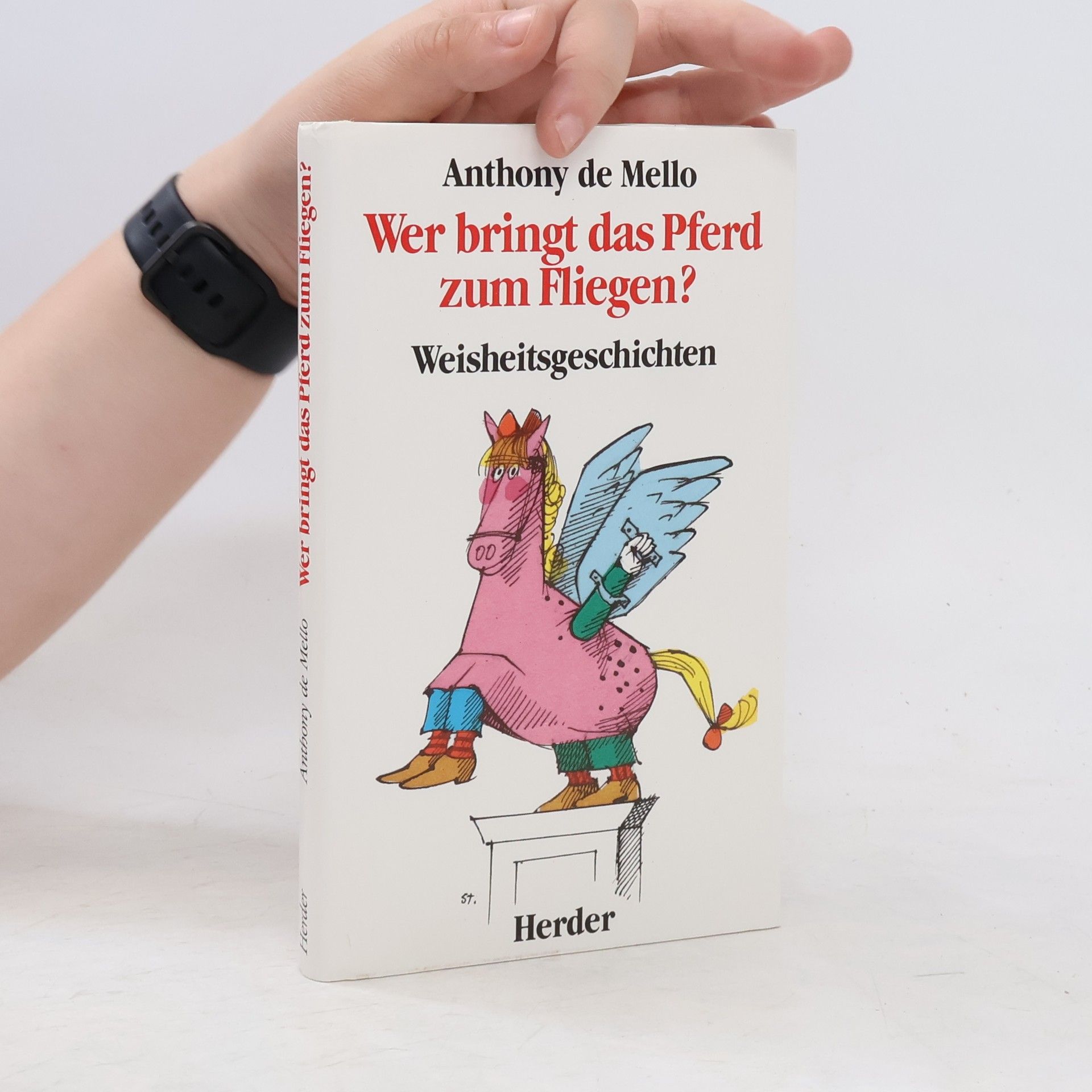 Anthony de Mello Wer bringt das Pferd zum Fliegen?