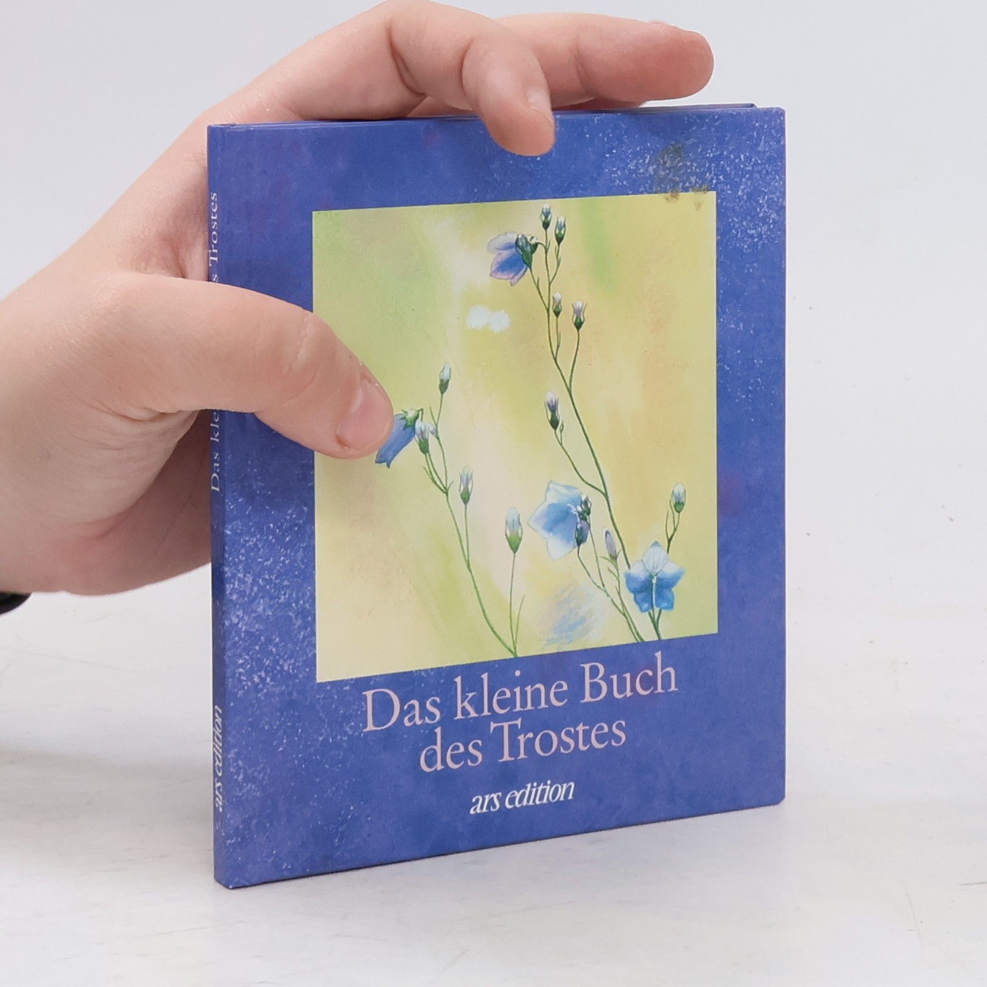 Angelika Seitz Das kleine Buch des Trostes