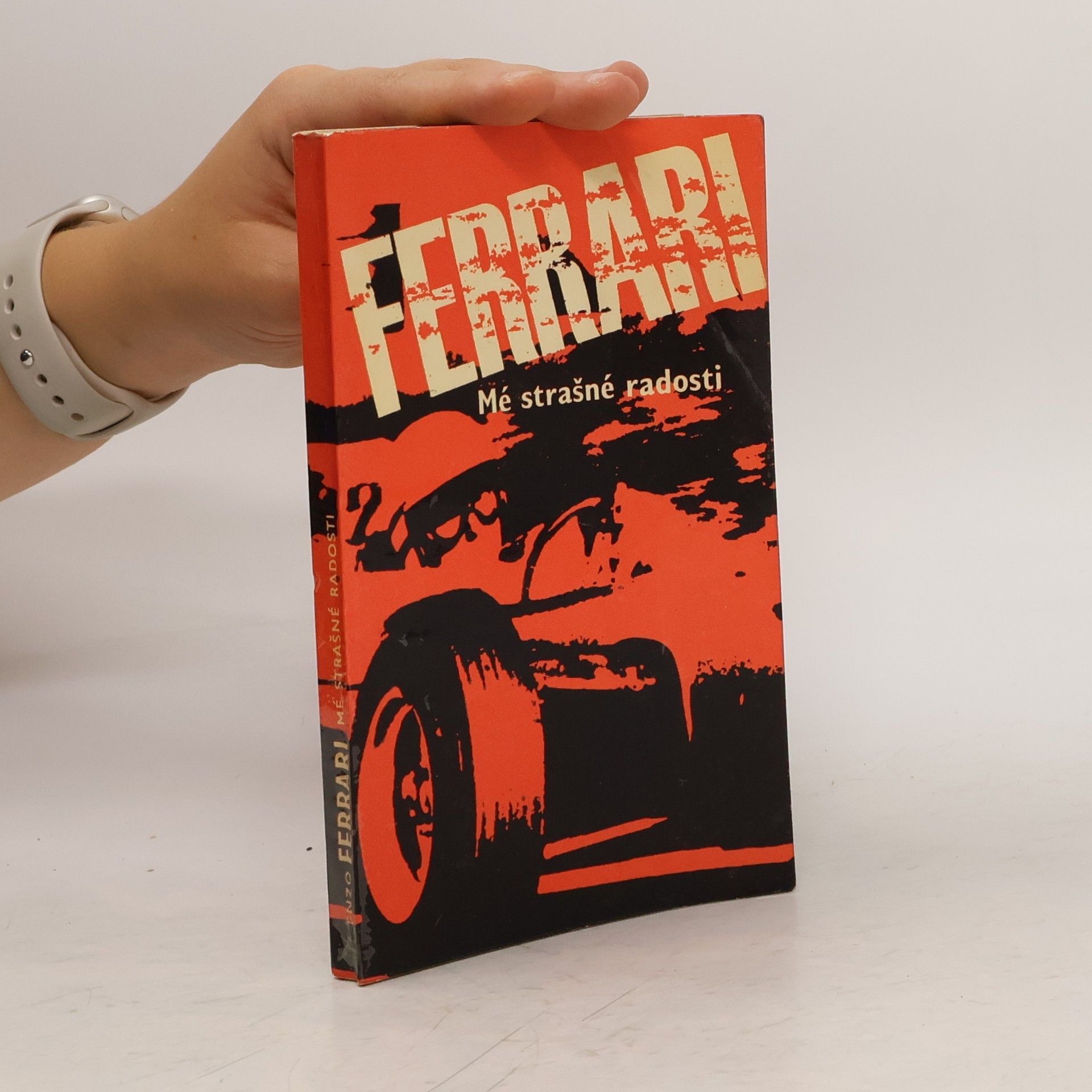 Enzo Ferrari Mé strašné radosti