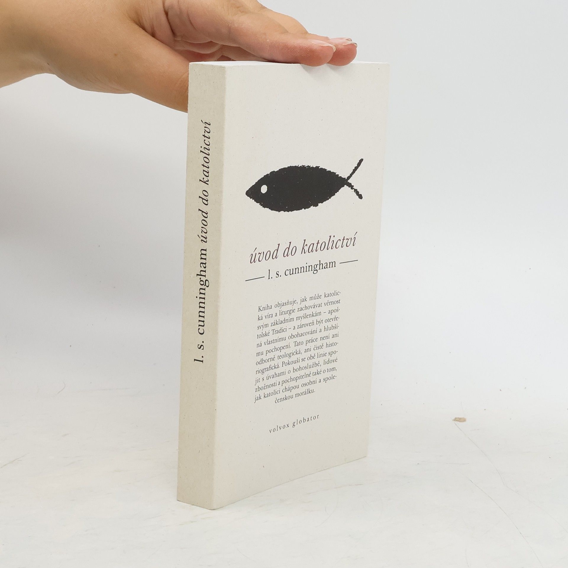 Lawrence S. Cunningham Úvod do katolictví