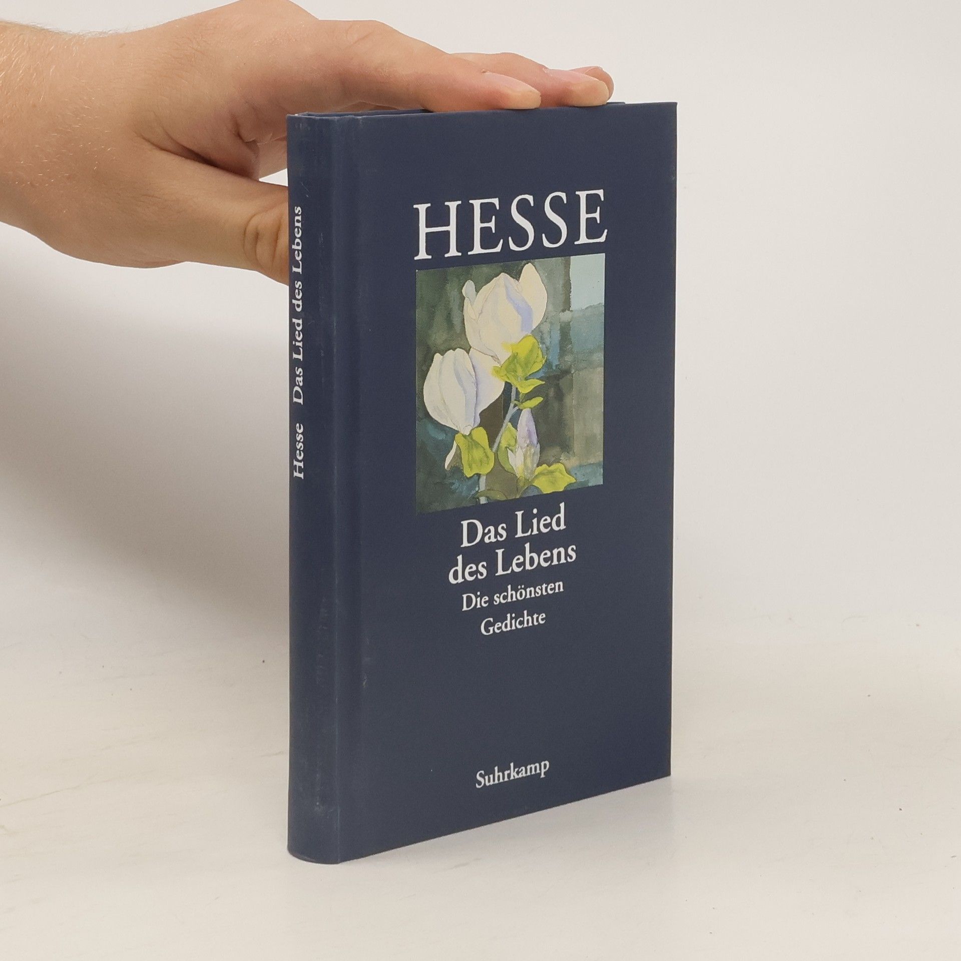 Hermann Hesse Das Lied des Lebens. Die schönsten Gedichte von Hermann Hesse