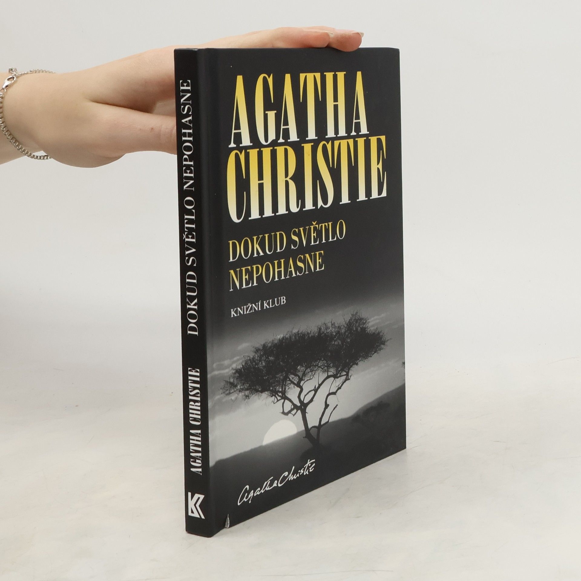 Agatha Christie Dokud světlo nepohasne