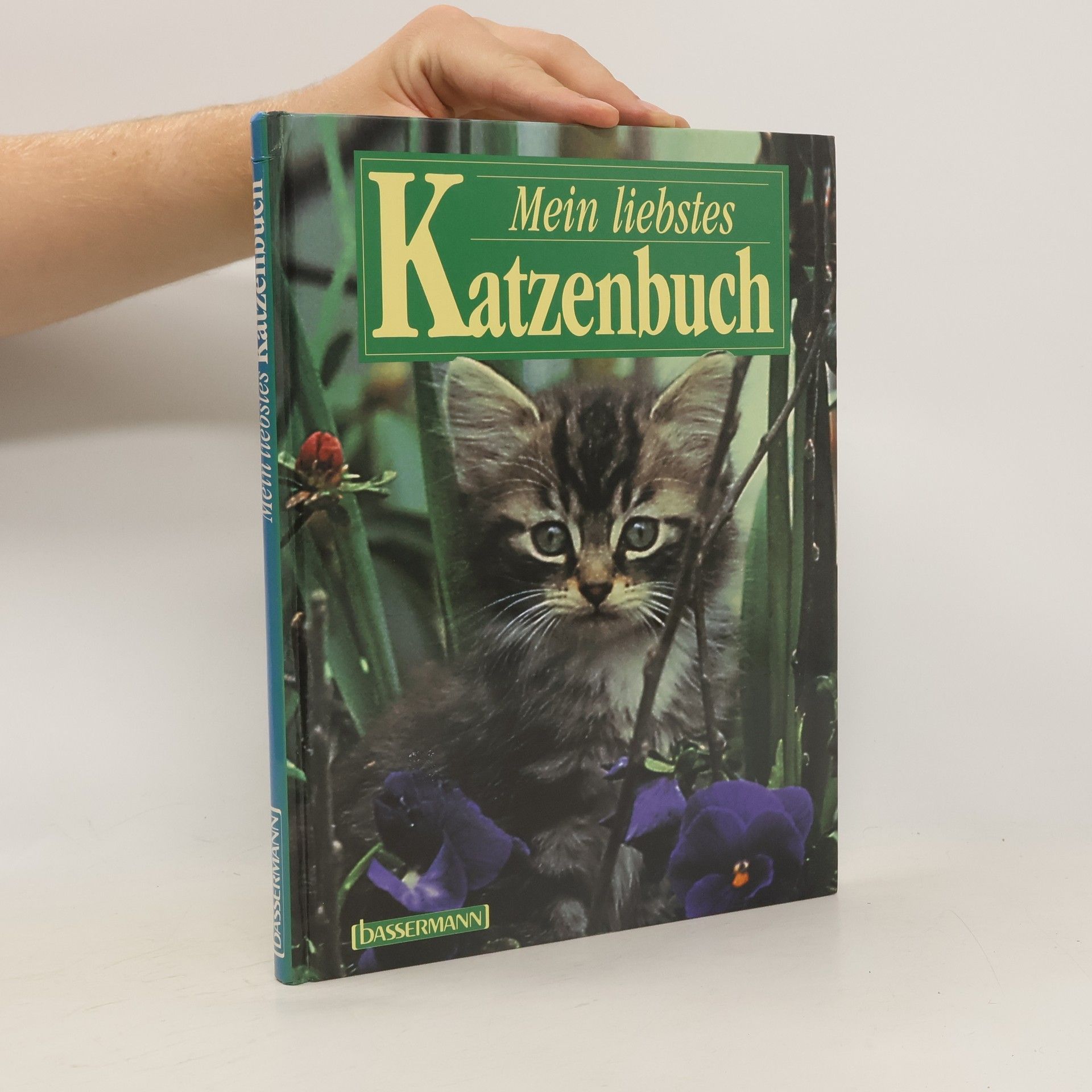 Warren Eckstein Mein liebstes Katzenbuch