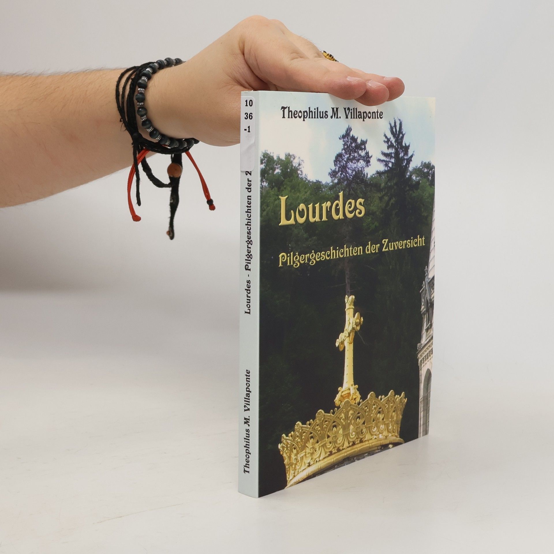 Theophilus M. Villaponte Lourdes - Pilgergeschichten der Zuversicht