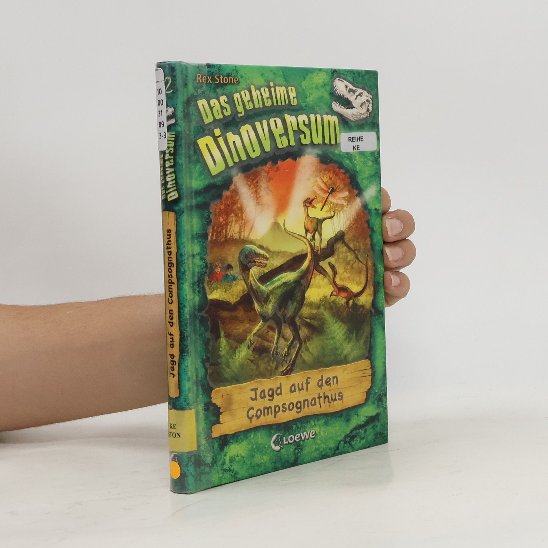 Hayley Daze Das geheime Dinoversum 12