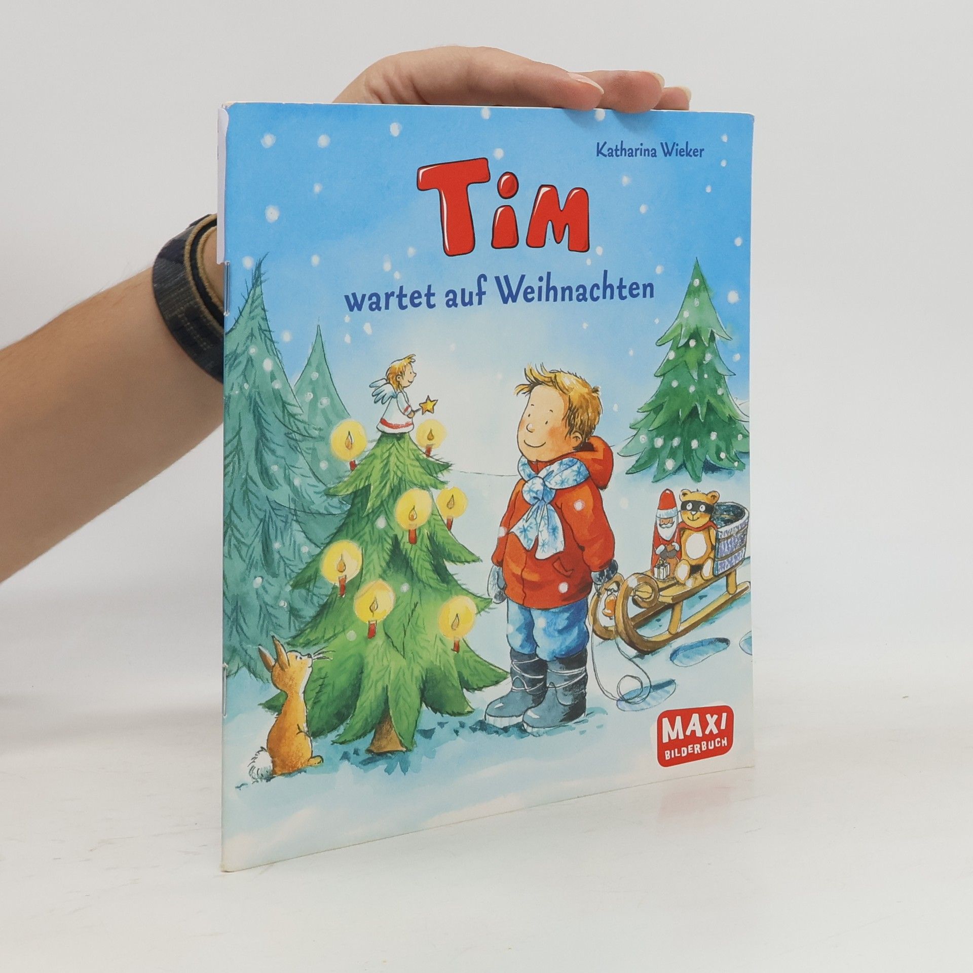 Katharina Wieker Tim wartet auf Weihnachten