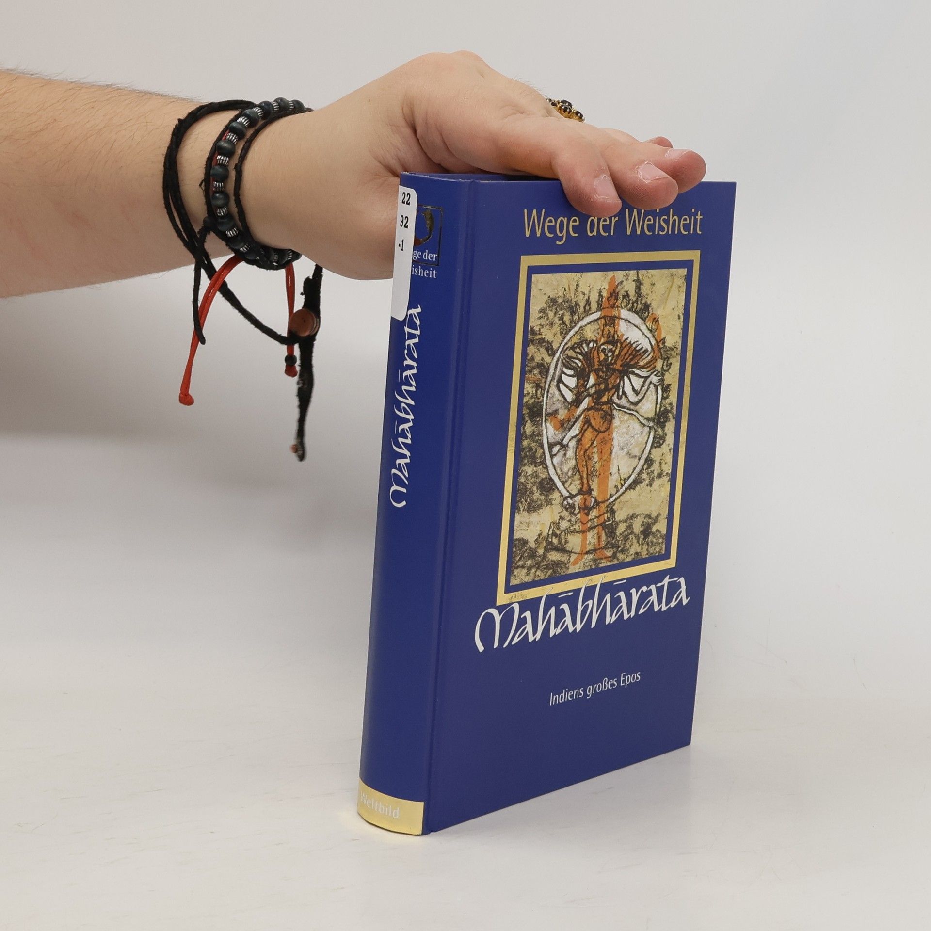 Autorenkollektiv Mahabharata. Indiens großes Epos