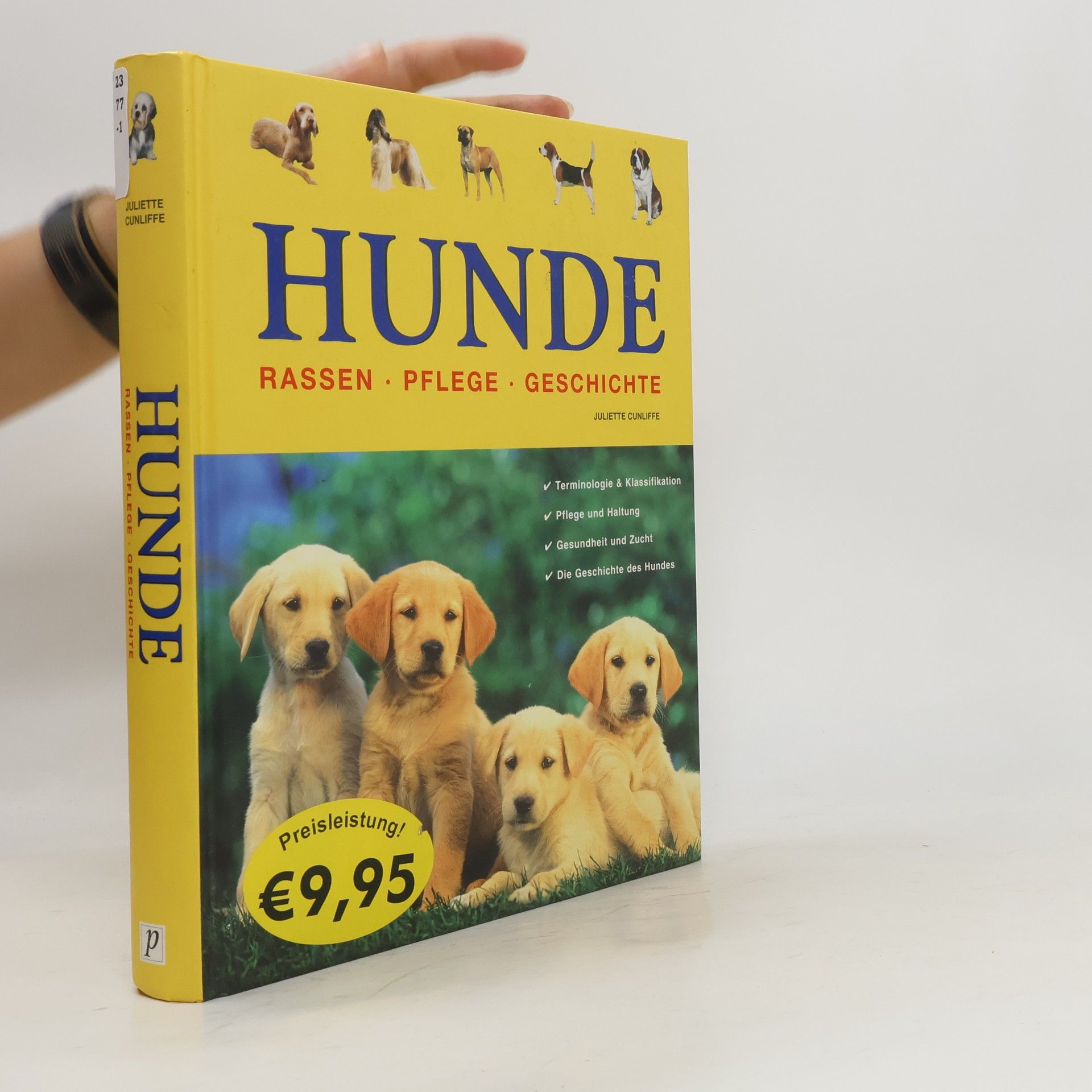 Juliette Cunliffe Hunde