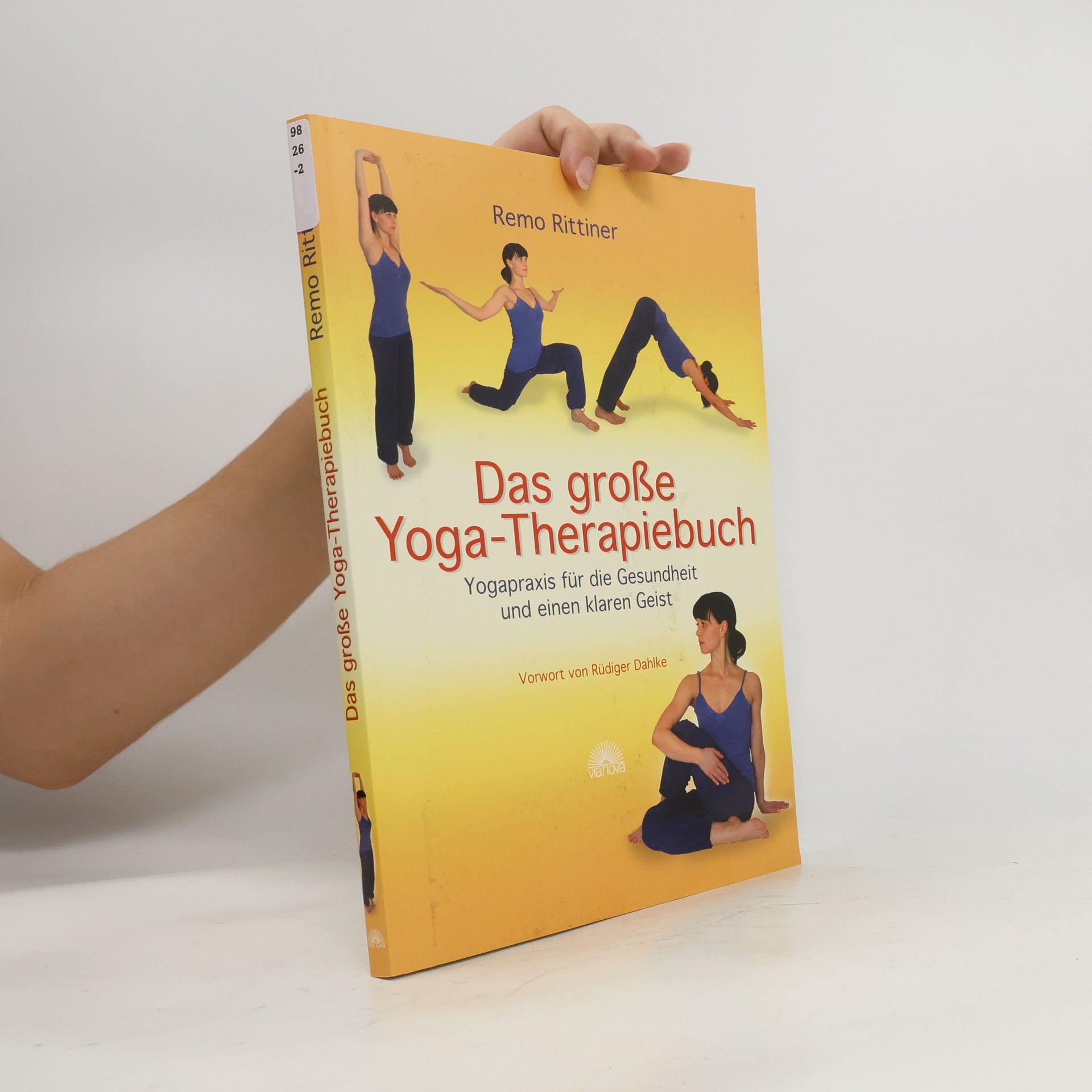 Remo Rittiner Das große Yoga-Therapiebuch