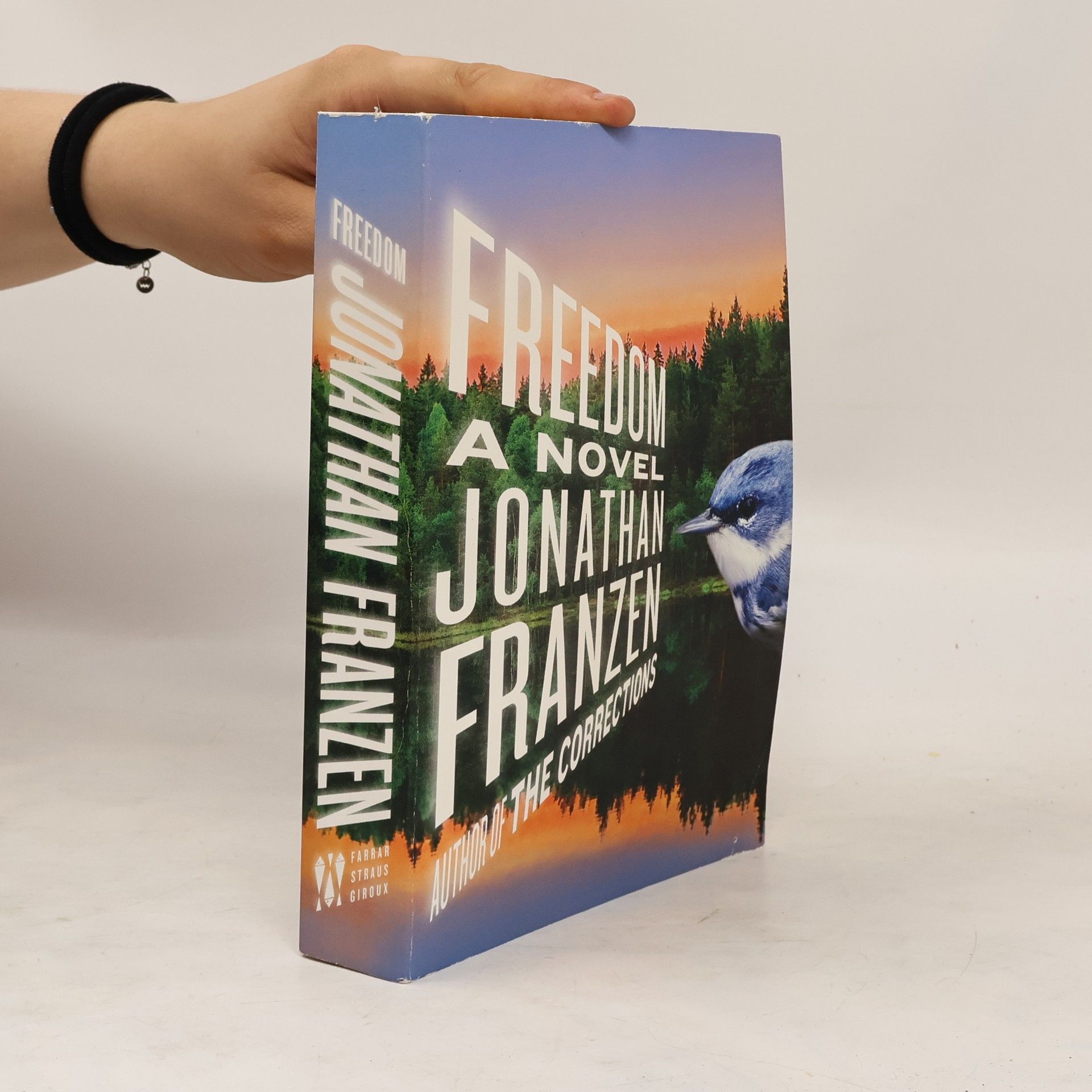 Jonathan Franzen Freedom