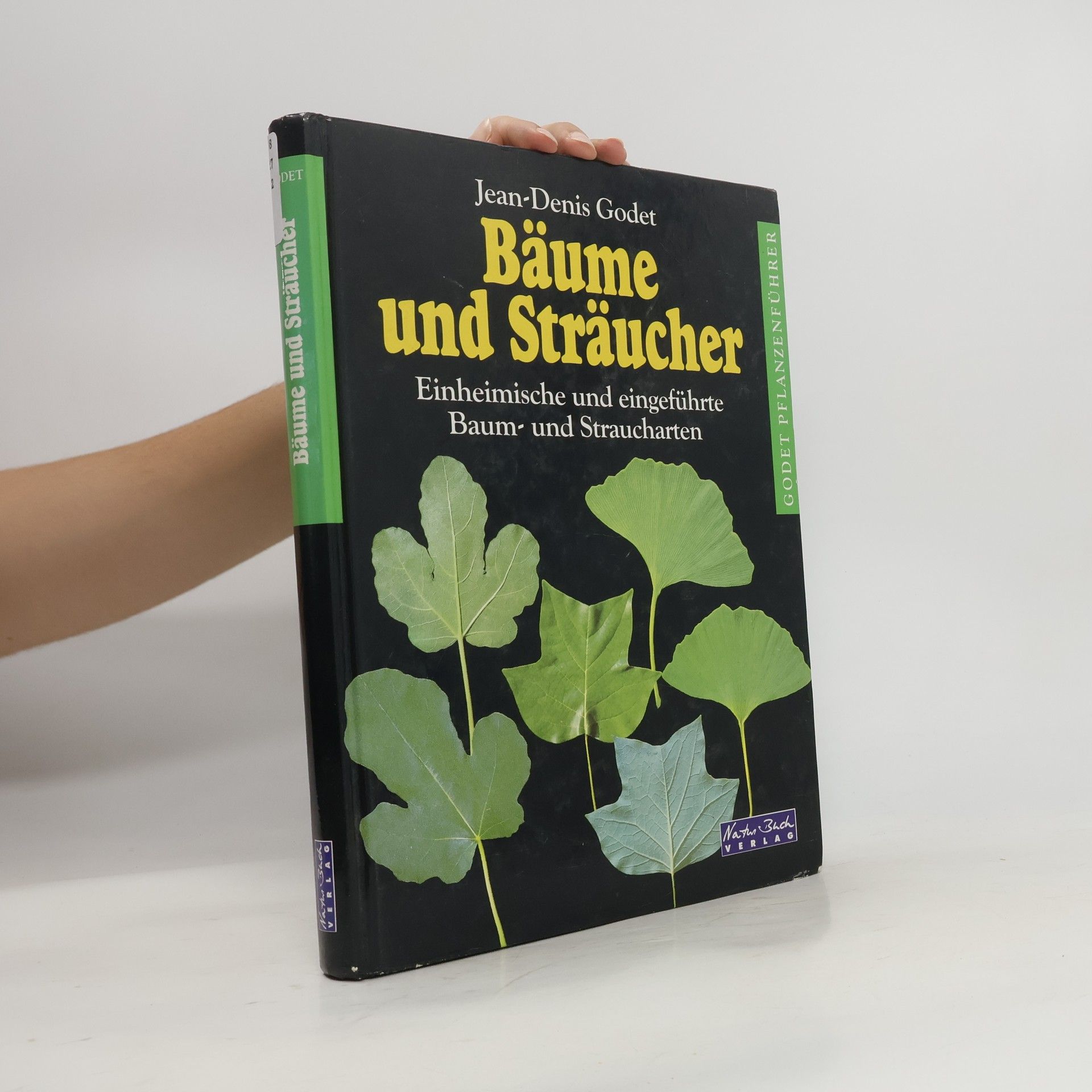 Jean Denis Godet Bäume und Sträucher