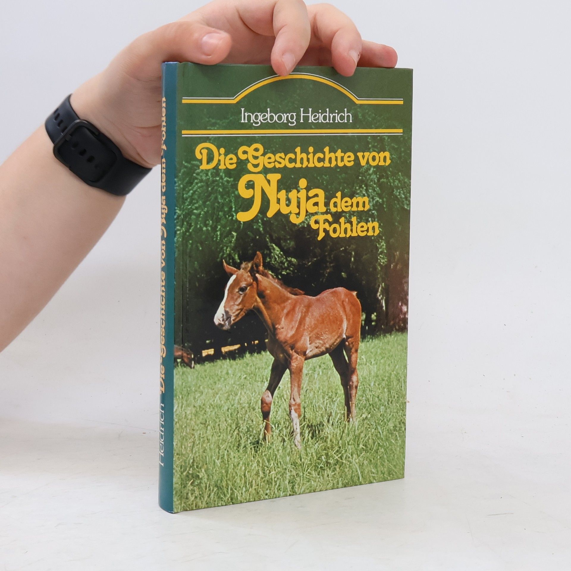 Ingeborg Heidrich Die Geschichte von Nuja dem Fohlen