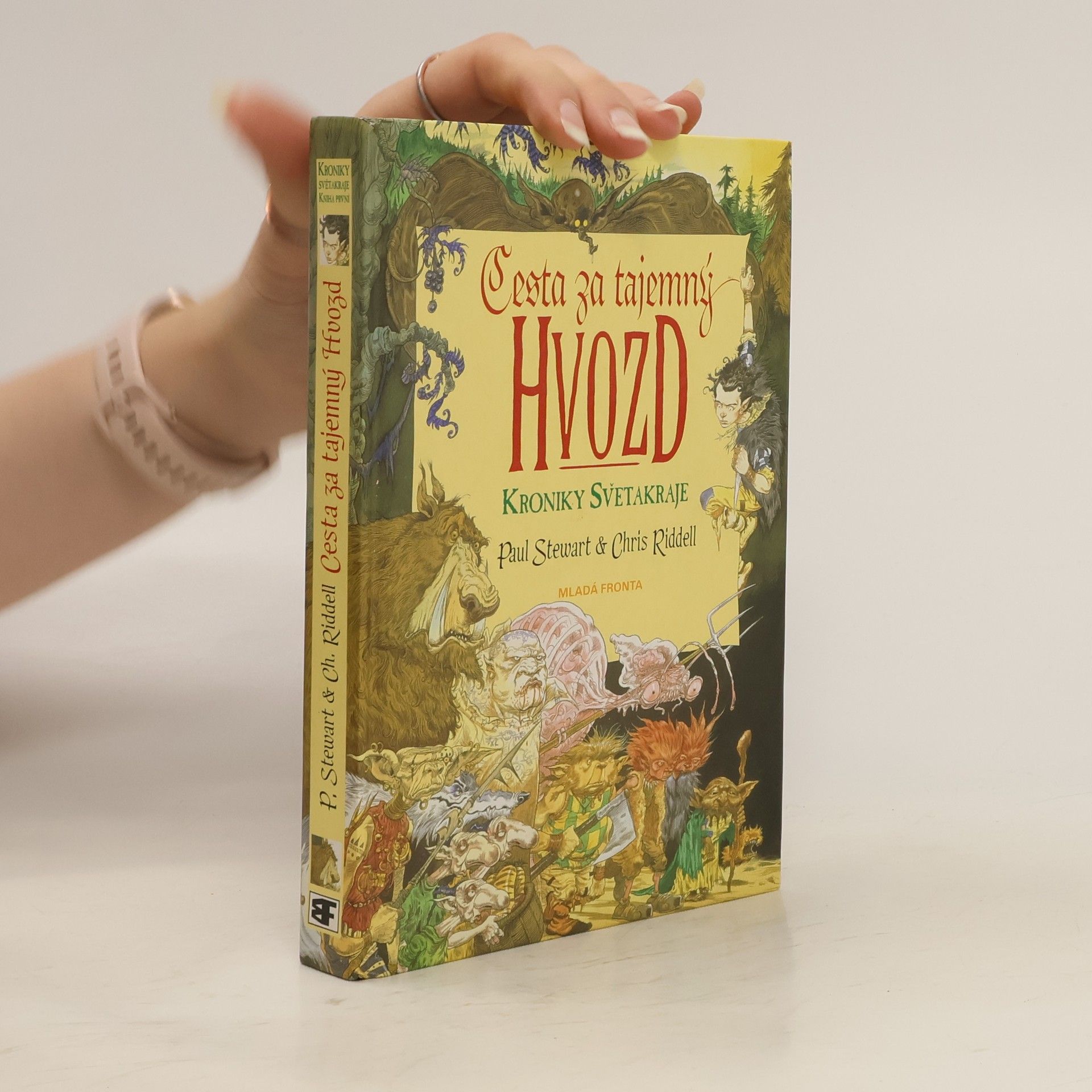 Cesta za tajemný Hvozd. Kniha první