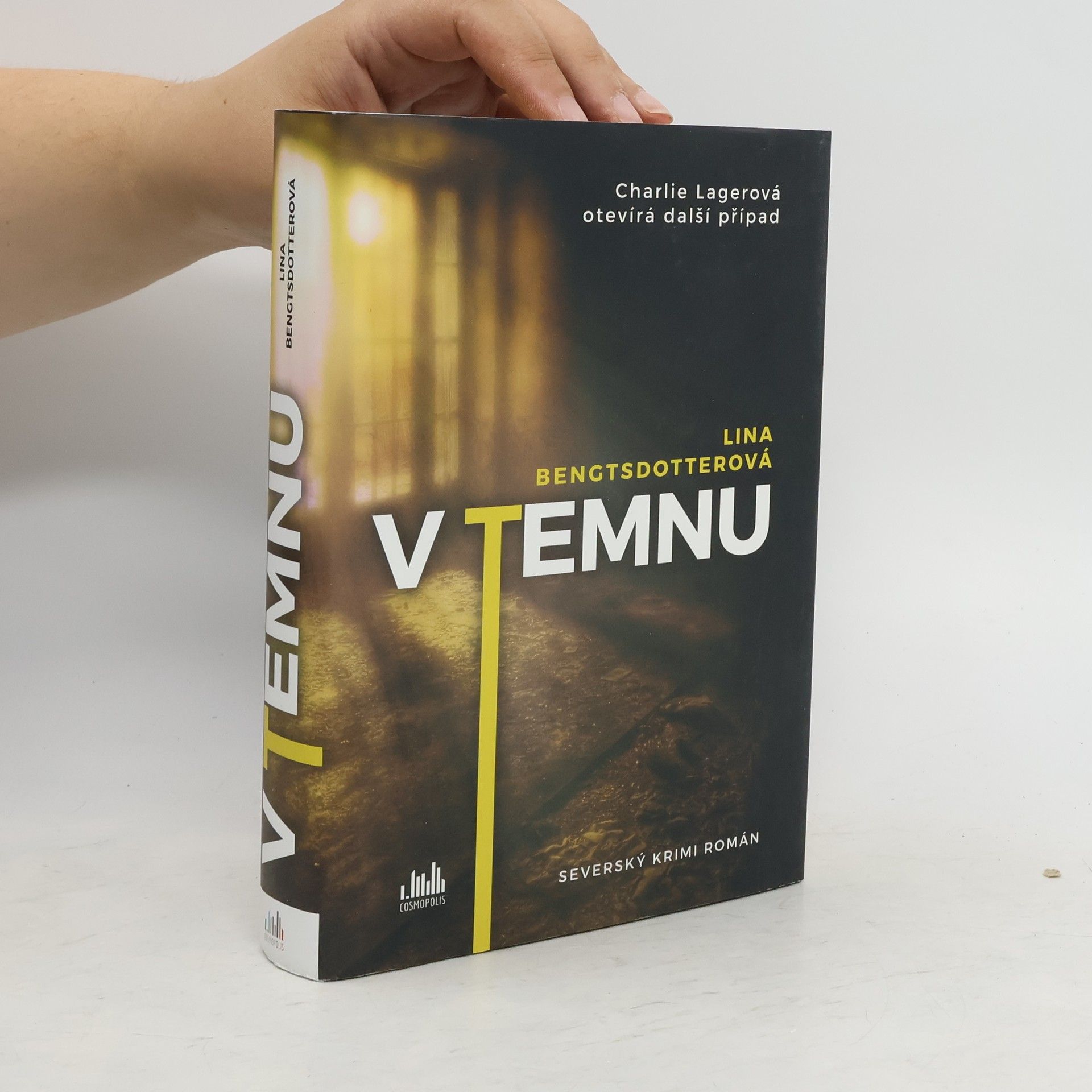 Lina Bengtsdotter V temnu