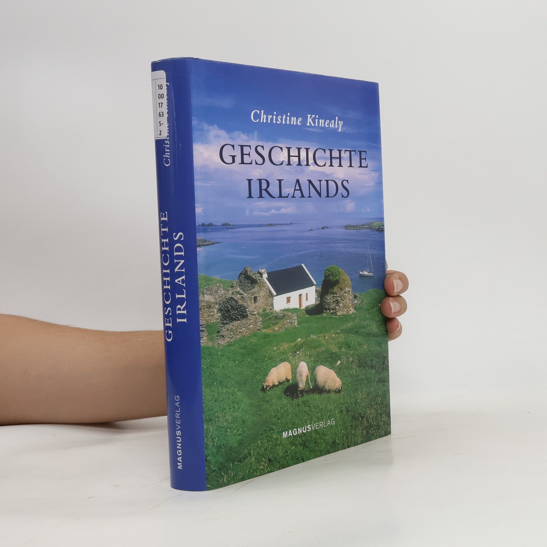 Christine Kinealy Geschichte Irlands