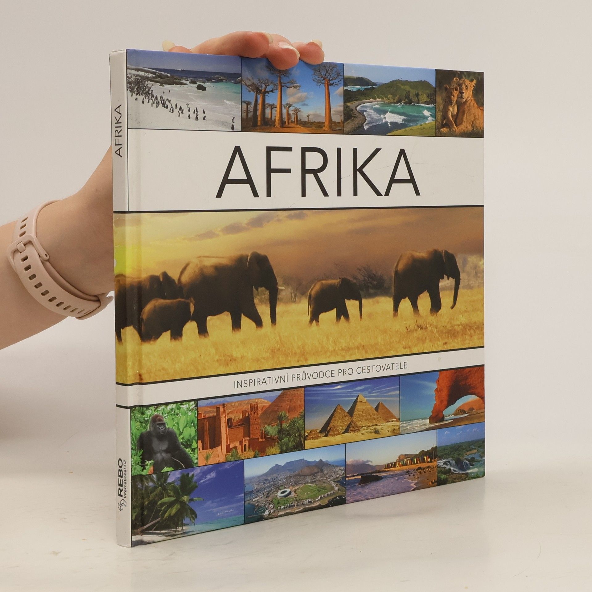 Joyce Koster Afrika