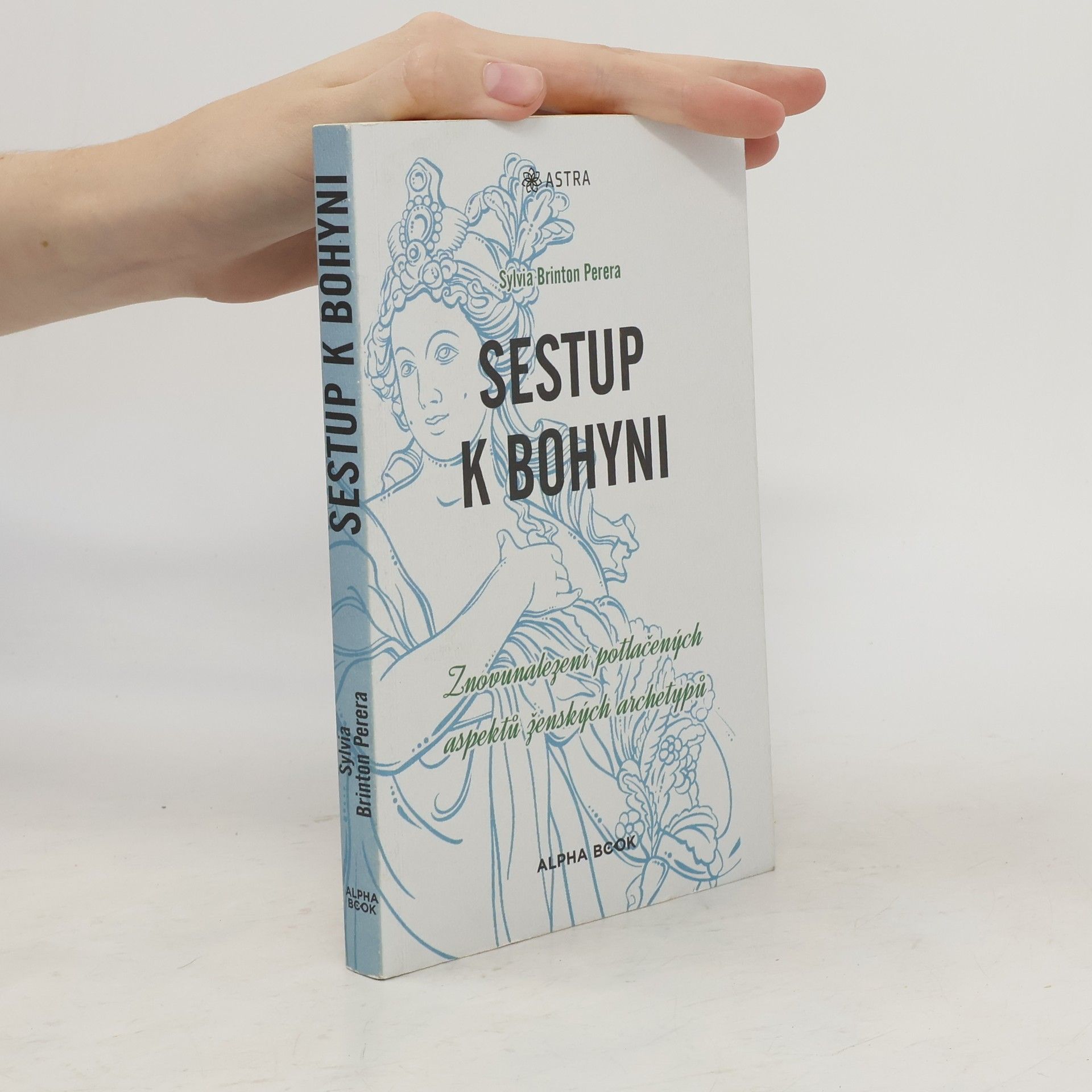 Sylvia Brinton Perera Sestup k bohyni