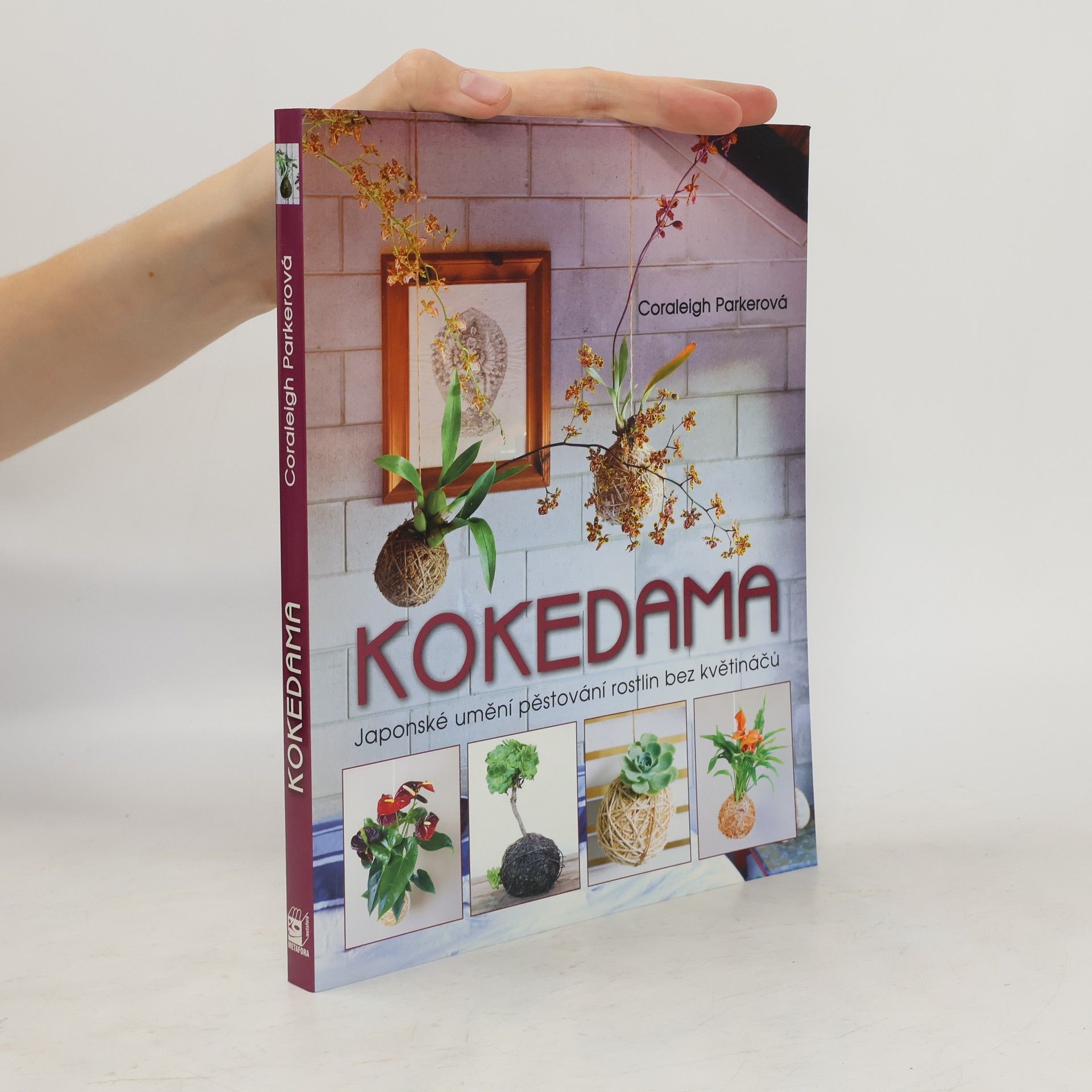Coraleigh Parker Kokedama - Japonské umění pěstování rostlin bez květináčů