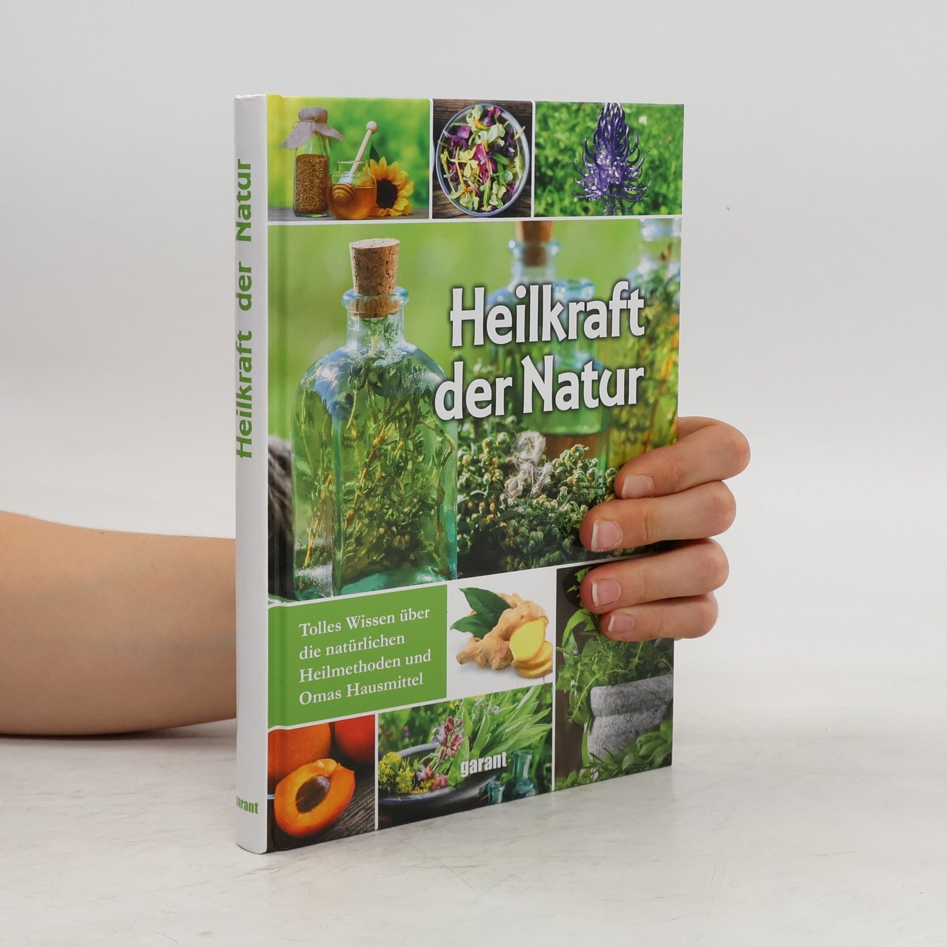 Susanne Lamprecht Heilkraft der Natur