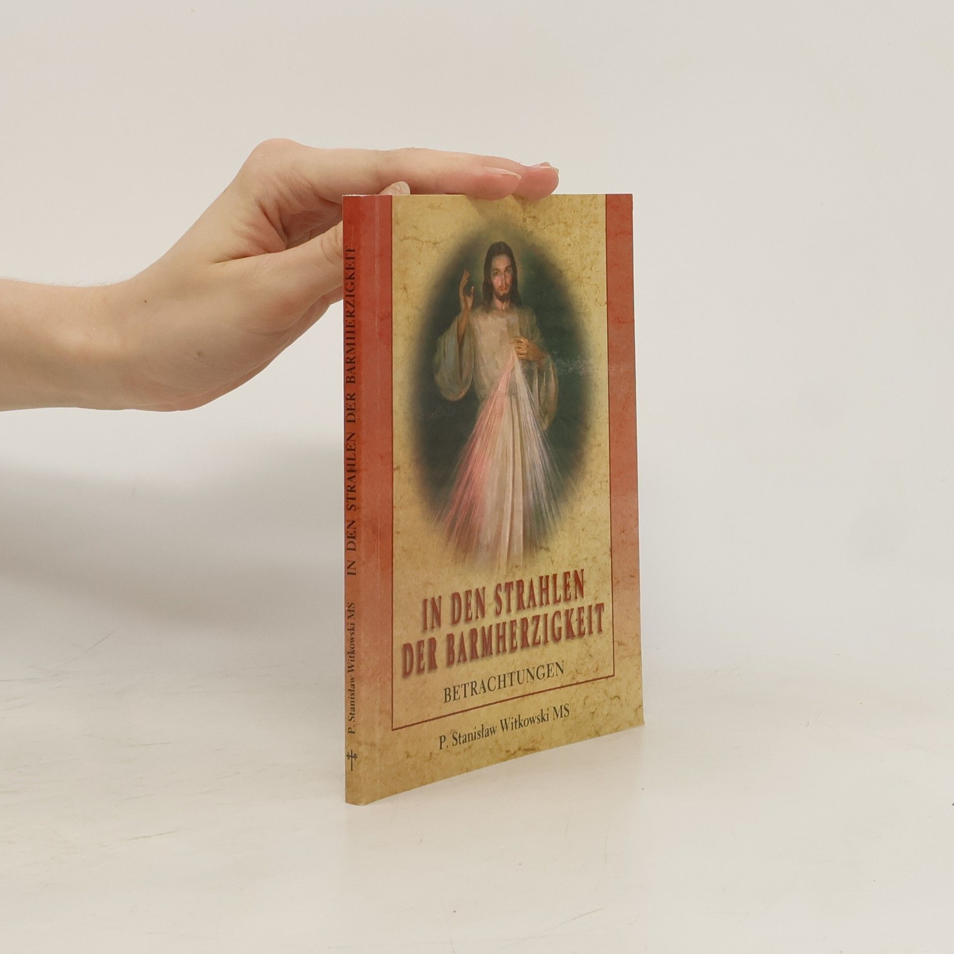 Stanisław Witkowski In den Strahlen der Barmherzigkeit