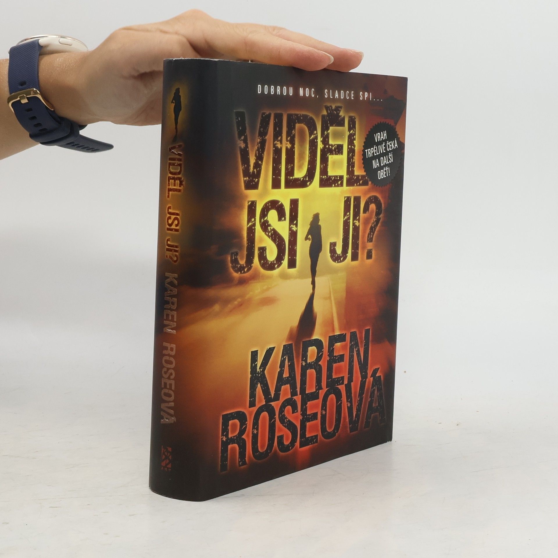 Karen Rose Viděl jsi ji?