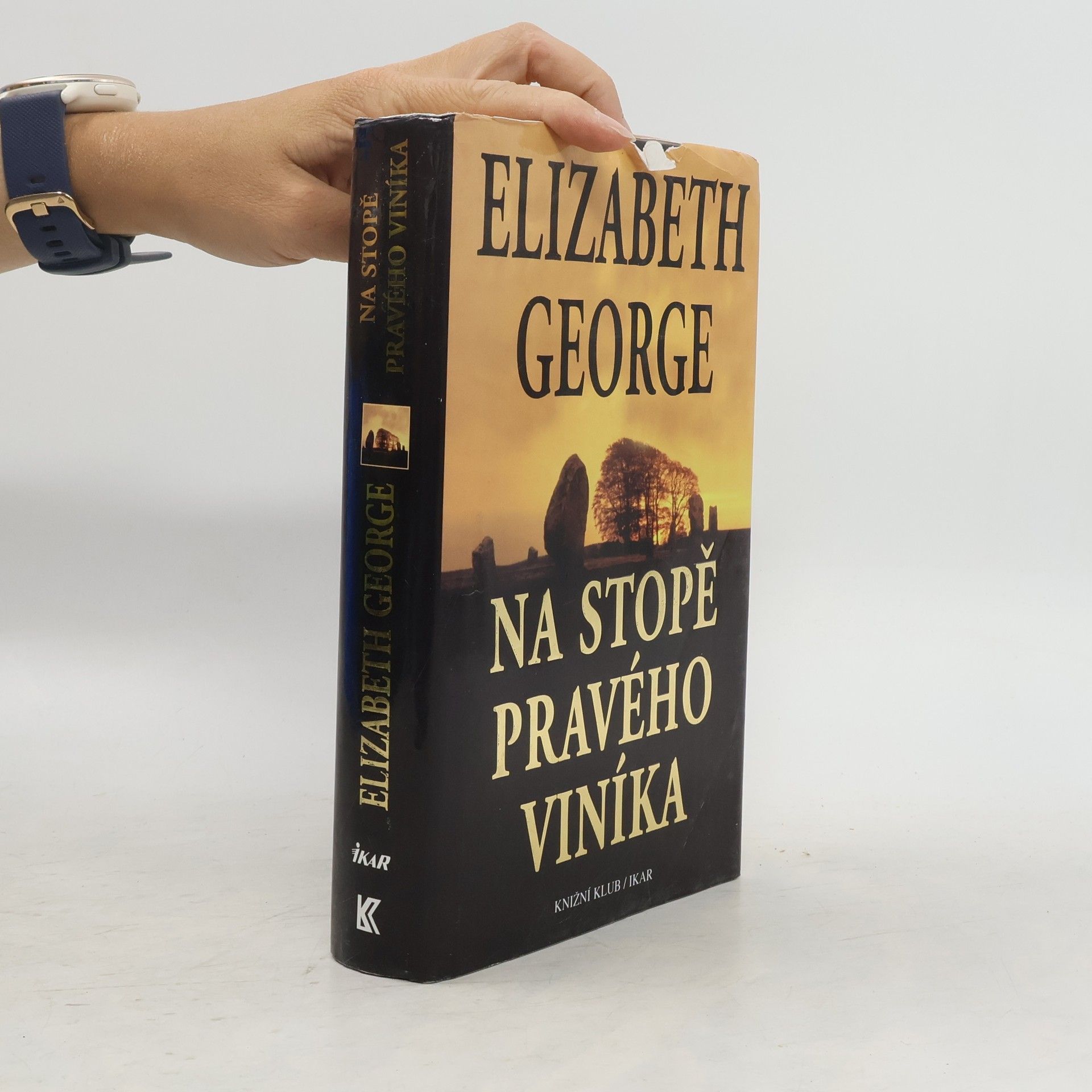 Elizabeth George Na stopě pravého viníka