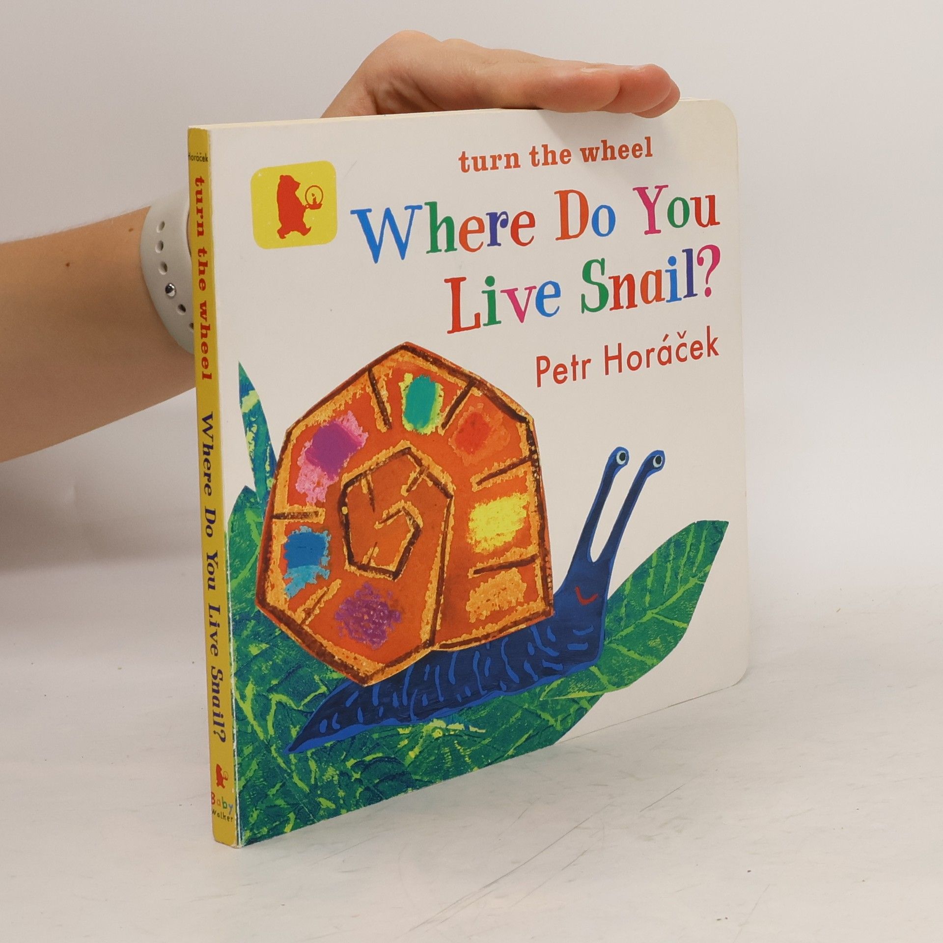 Petr Horácek Where Do You Live Snail?