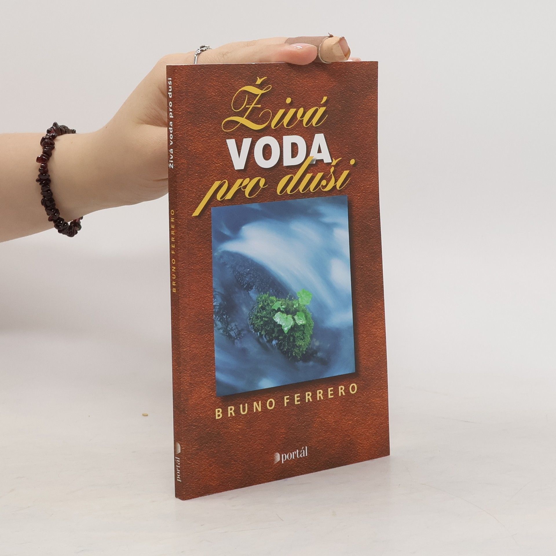 Bruno Ferrero Živá voda pro duši