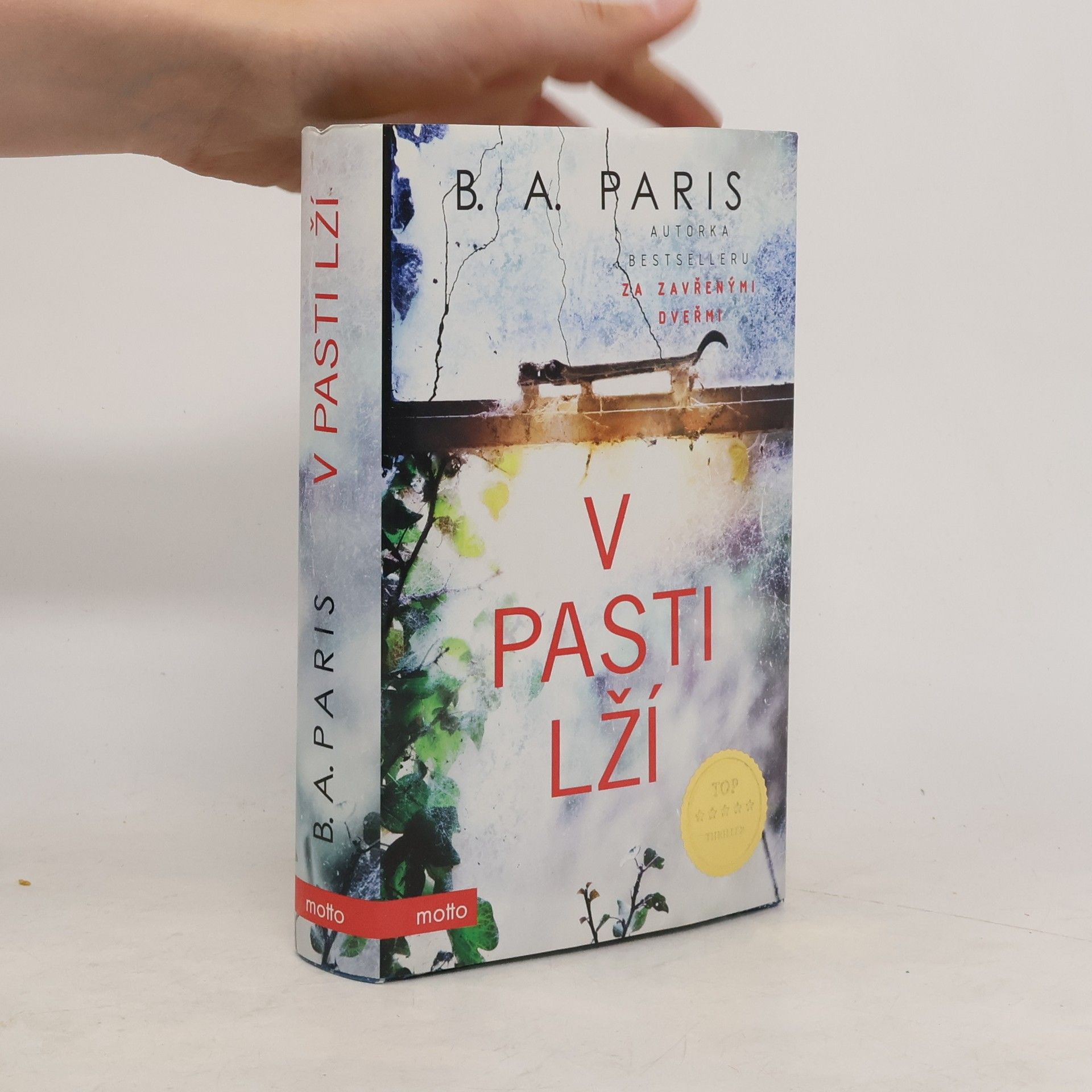 B.A. Paris V pasti lží