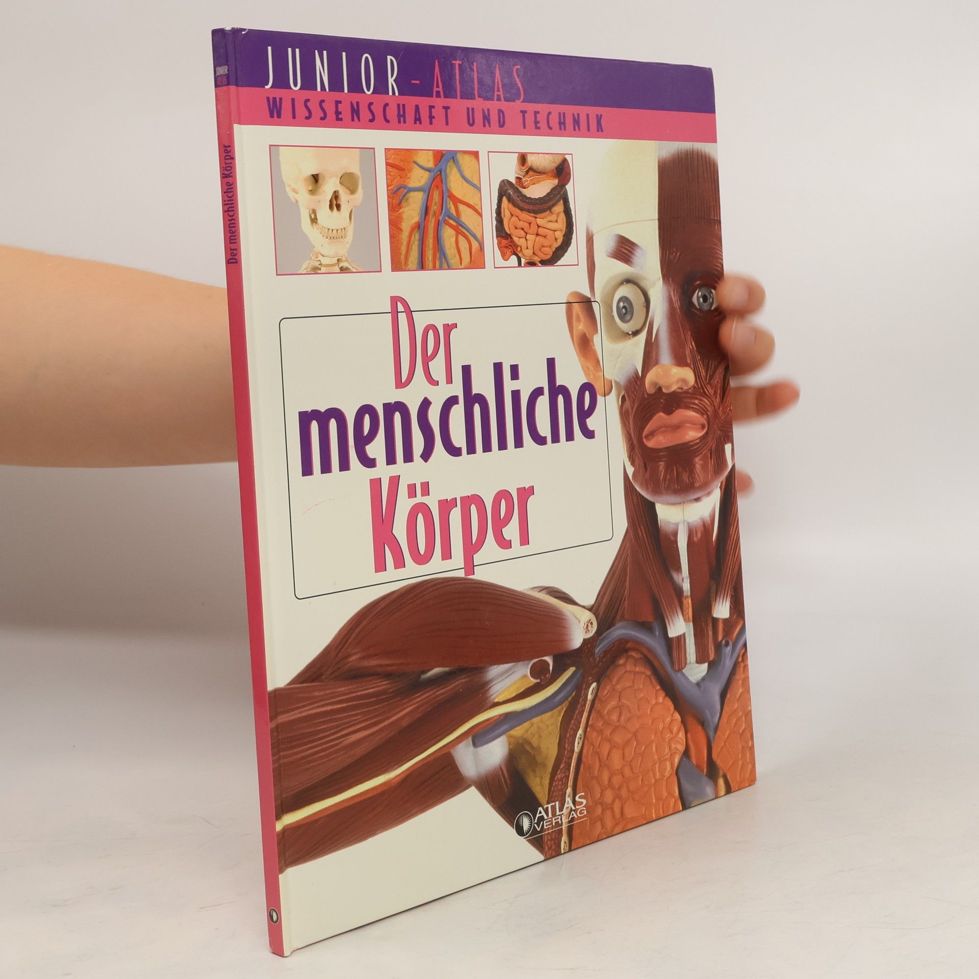 Collectif d'auteurs Der menschliche Körper