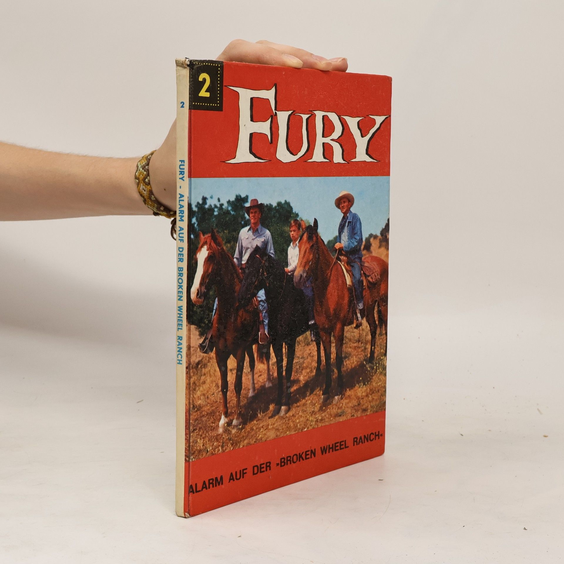 René van Nerum Fury 2
