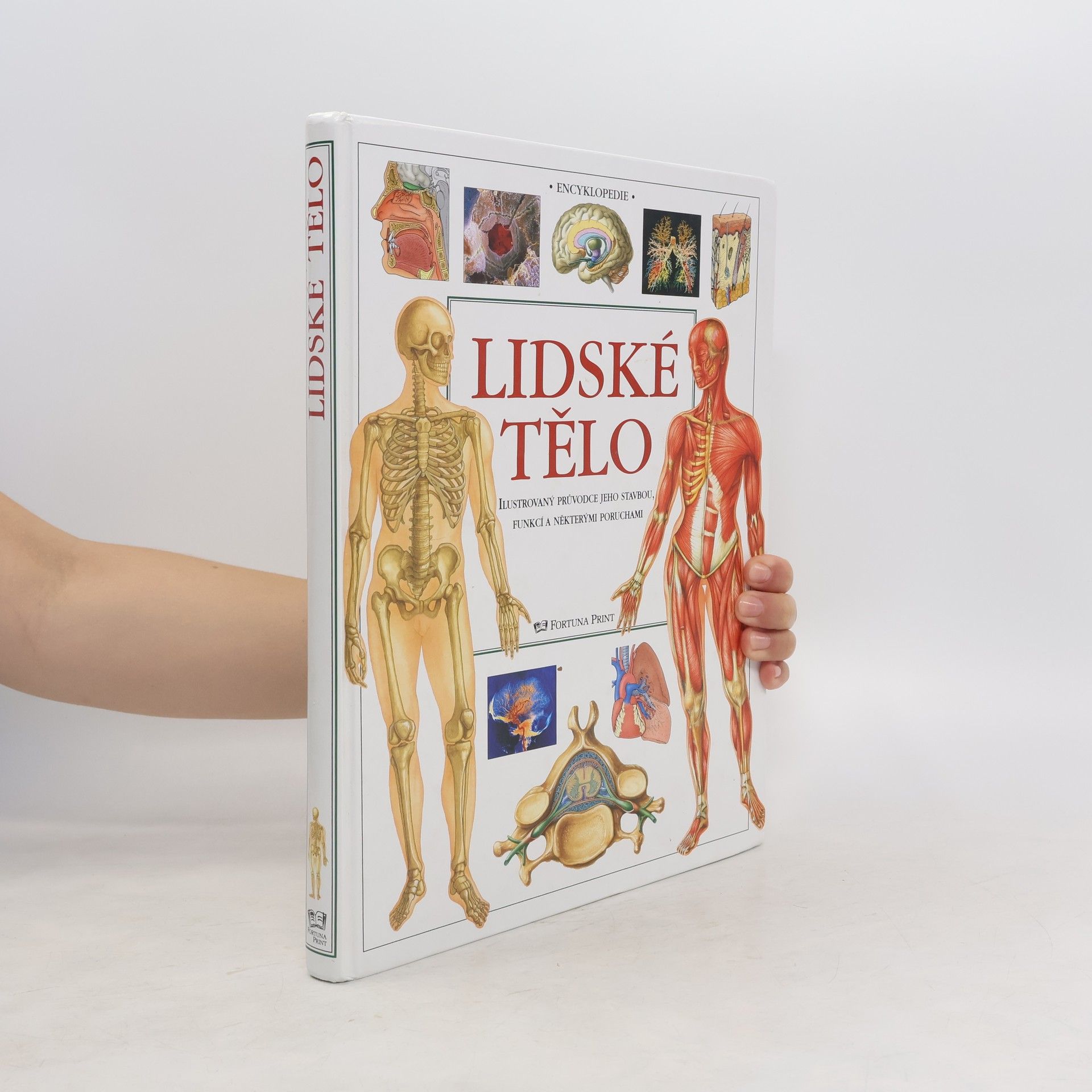 AA.VV. Lidské tělo : ilustrovaný průvodce jeho stavbou, funkcí a některými poruchami