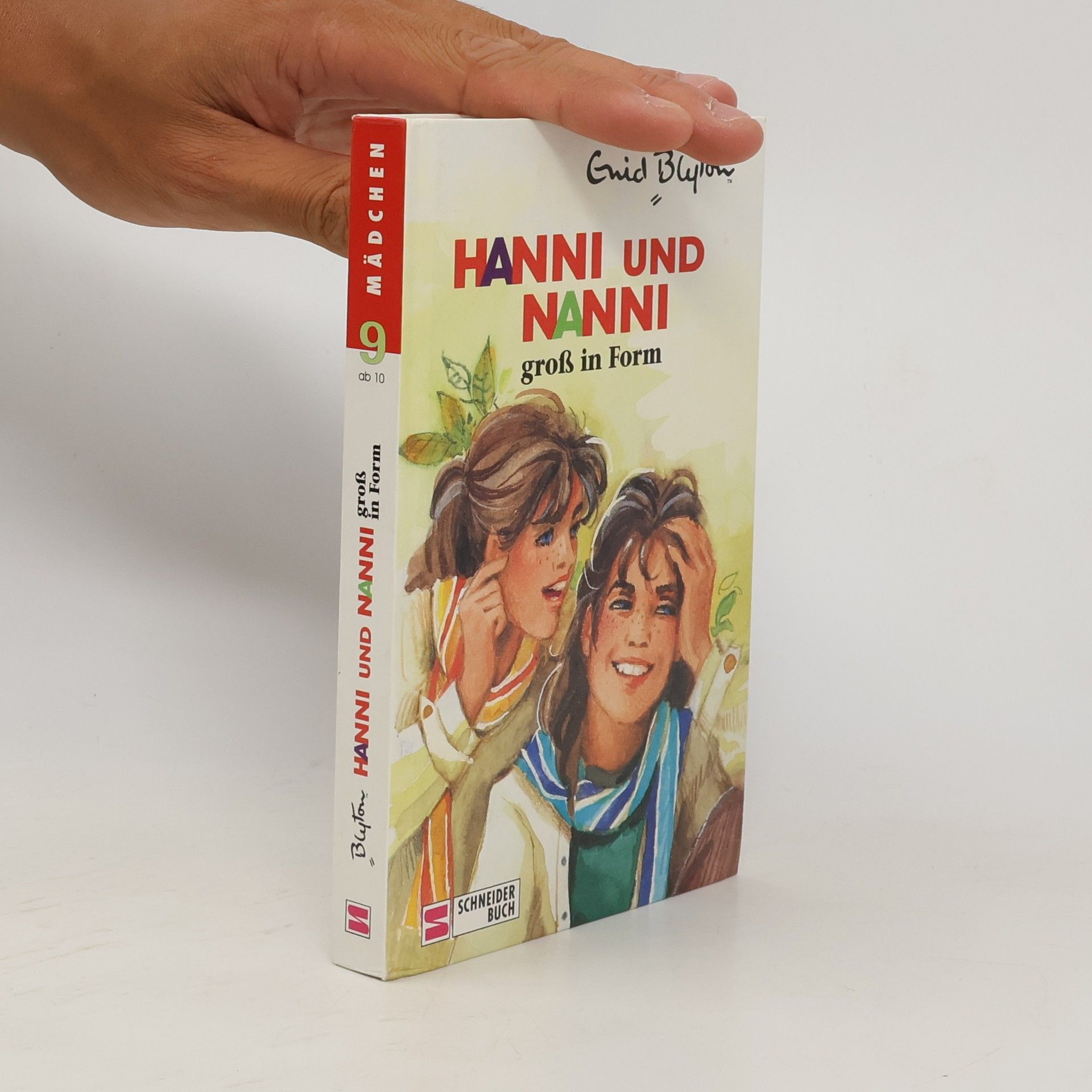 Enid Blyton Hanni und Nanni groß in Form