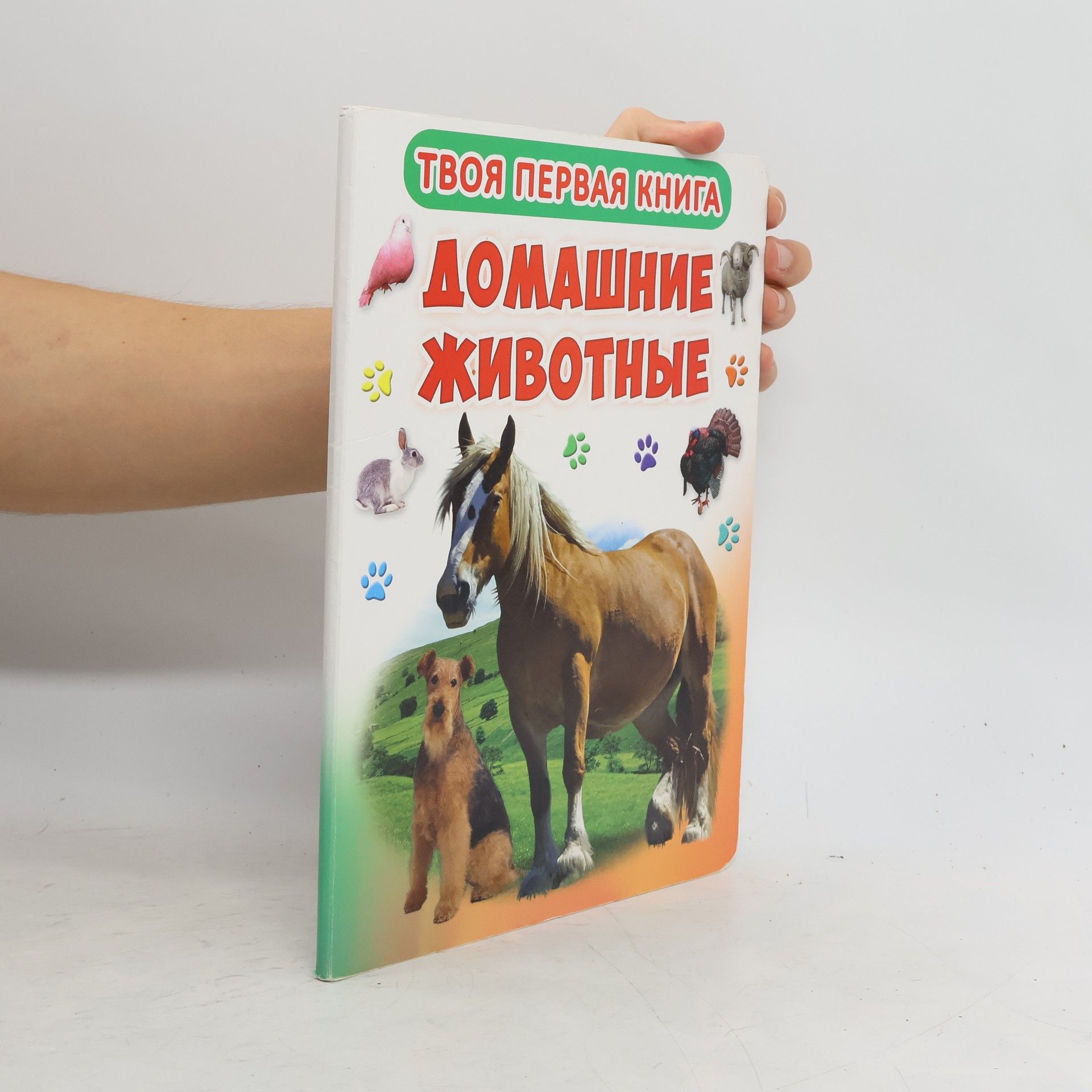 Autores varios Твоя первая книга. Домашние животные