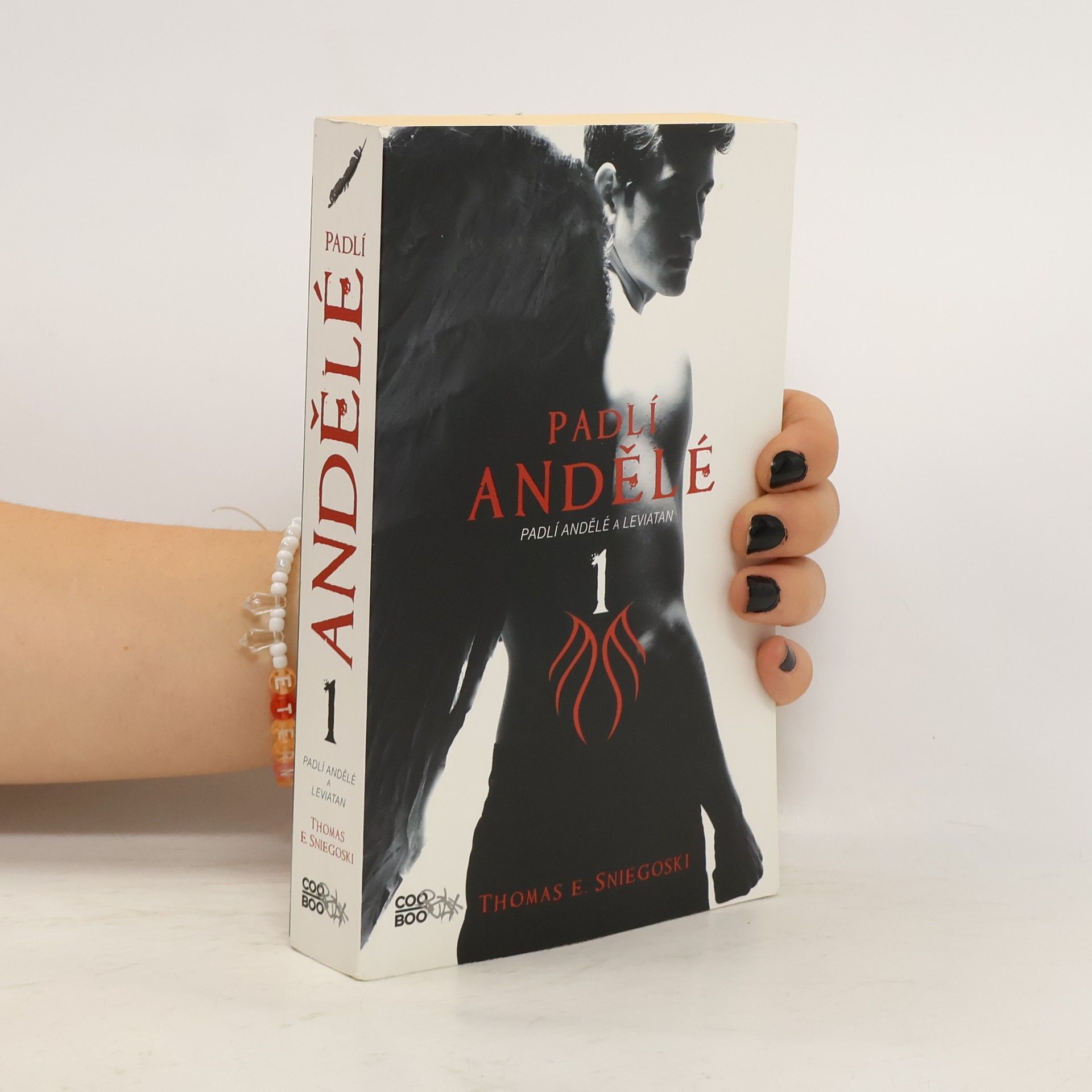 Thomas E. Sniegoski Padlí andělé a Leviatan. Padlí andělé. 1. díl
