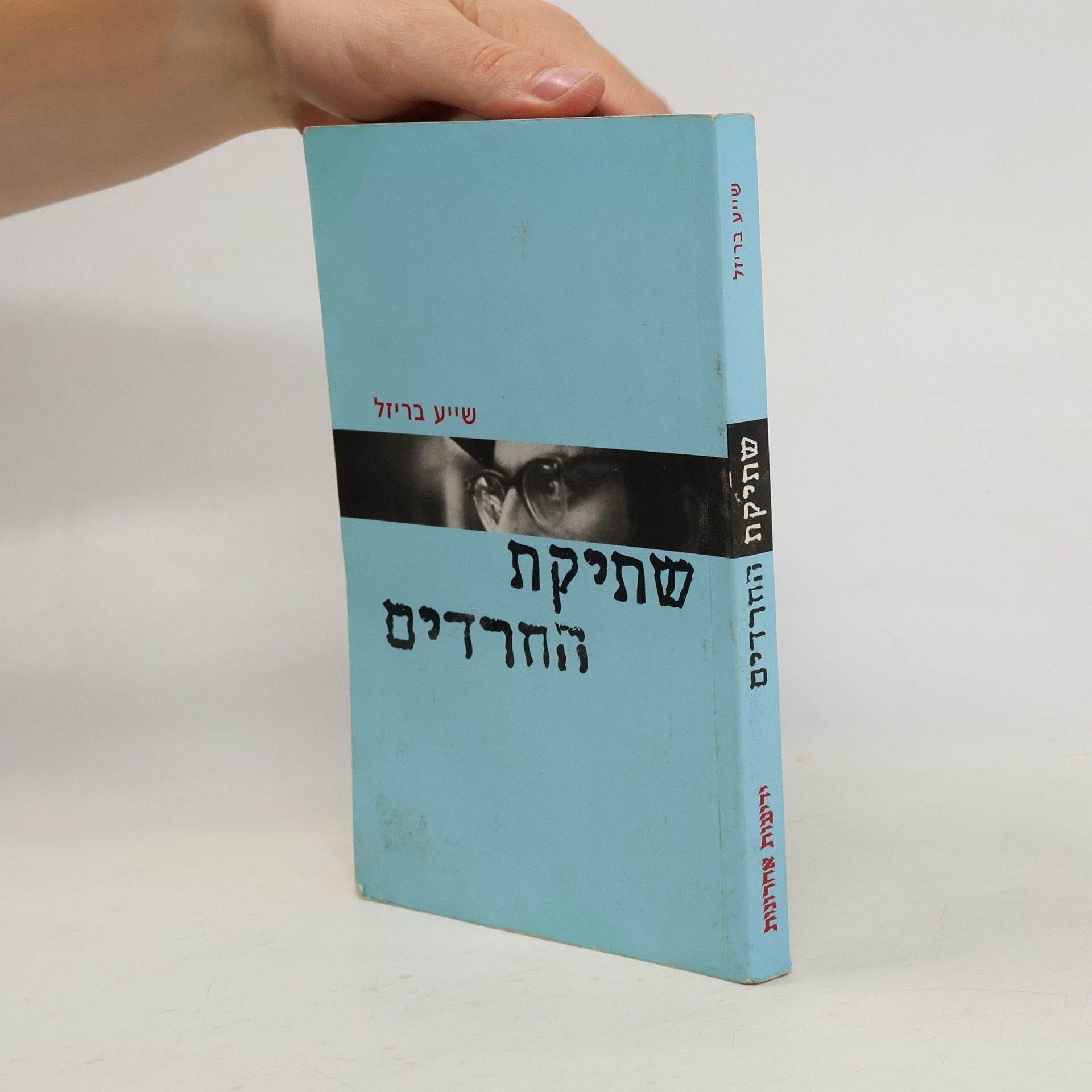 Chie Brizel שתיקת החרדים