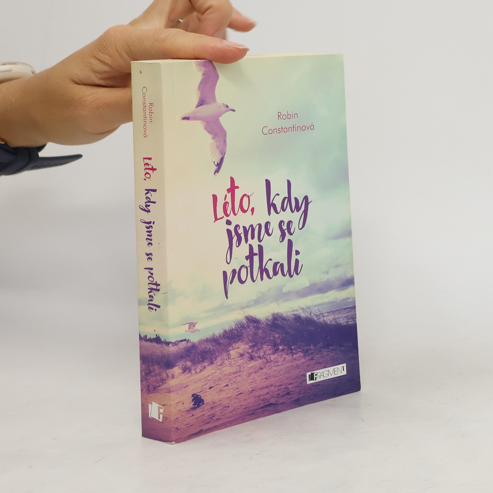 Robin Constantine Léto, kdy jsme se potkali