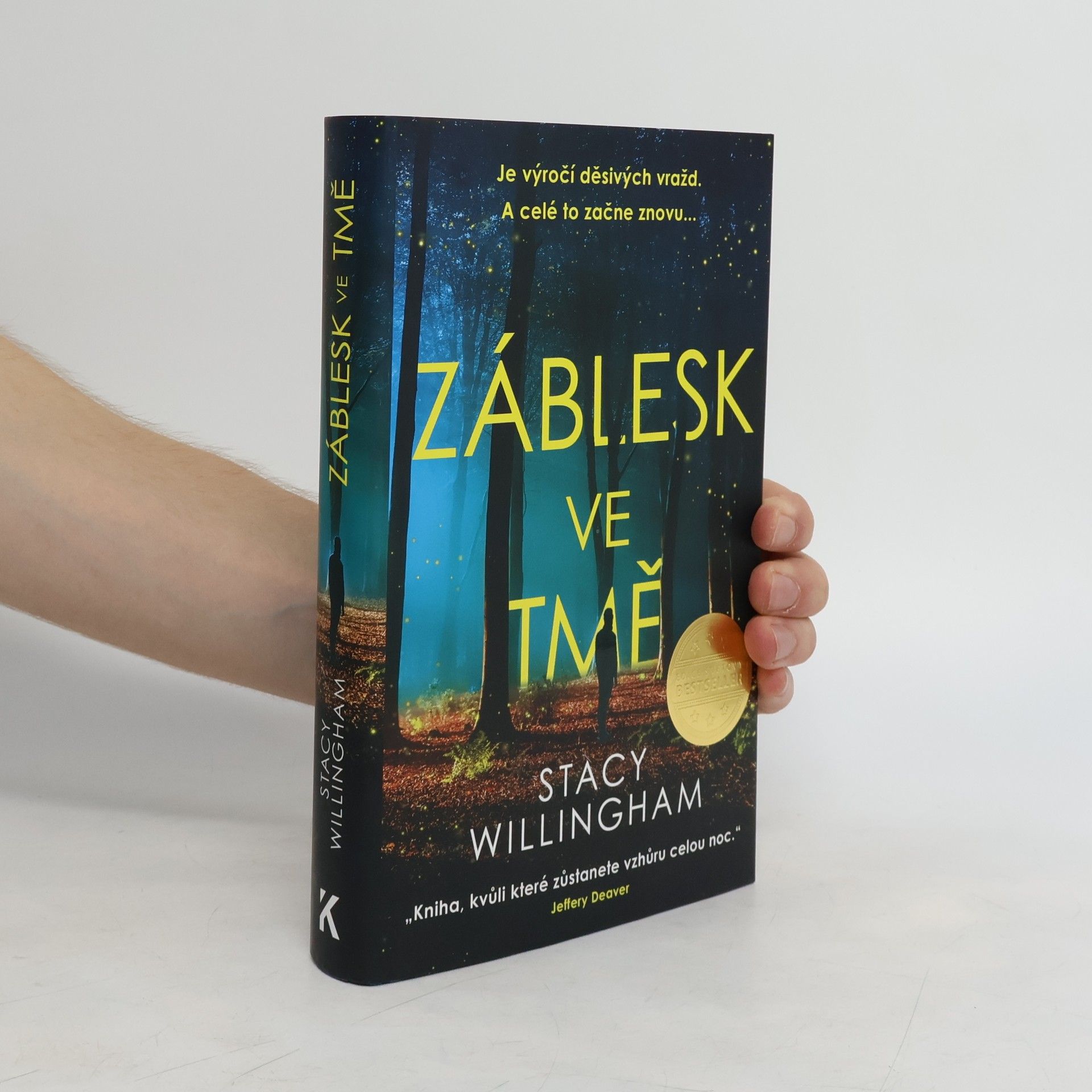 Stacy Willingham Záblesk ve tmě
