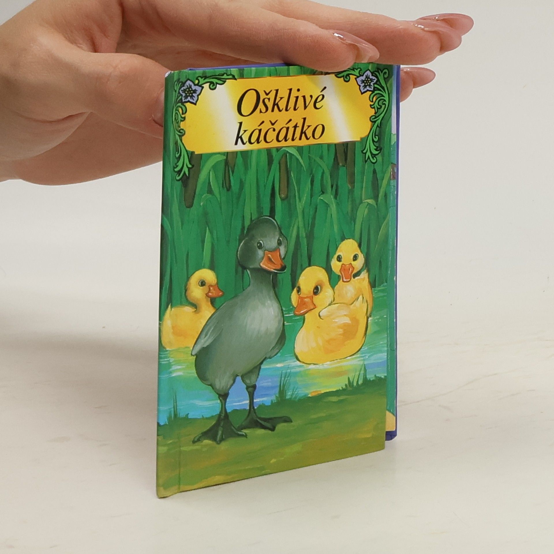 Kolektív autorov Ošklivé káčátko