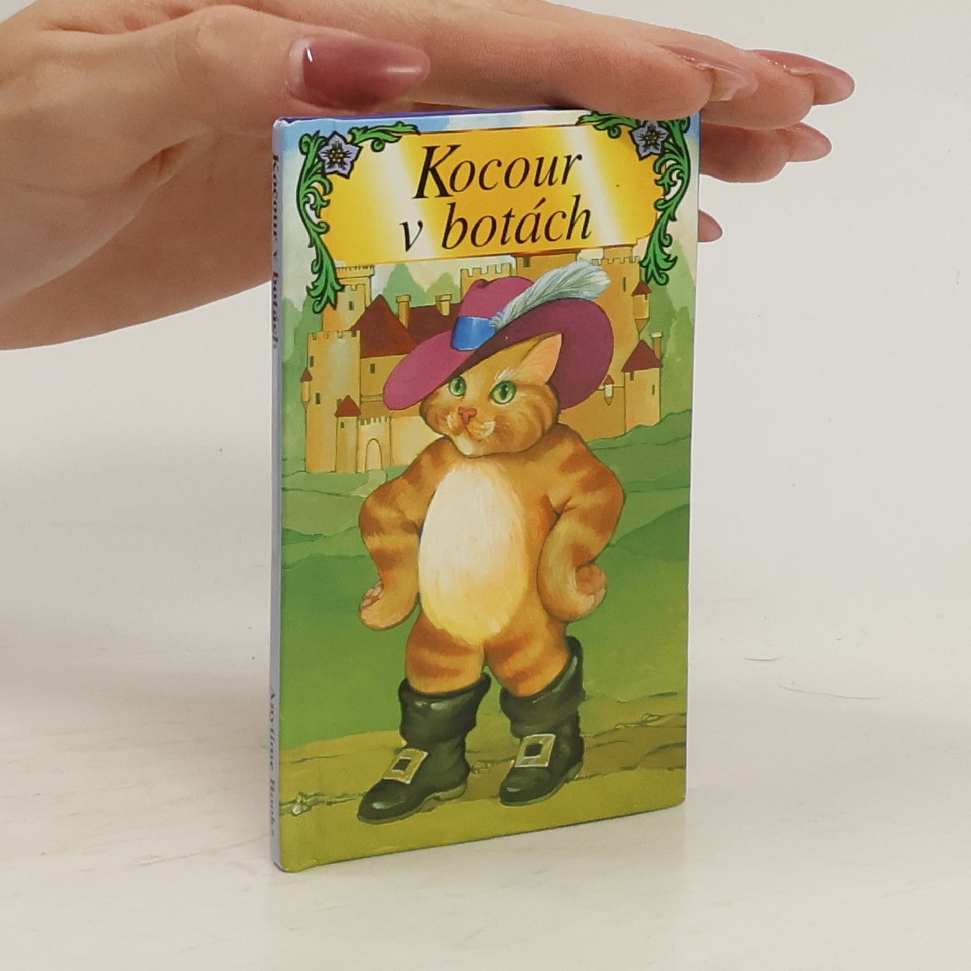 Kolektiv autorů Kocour v botách