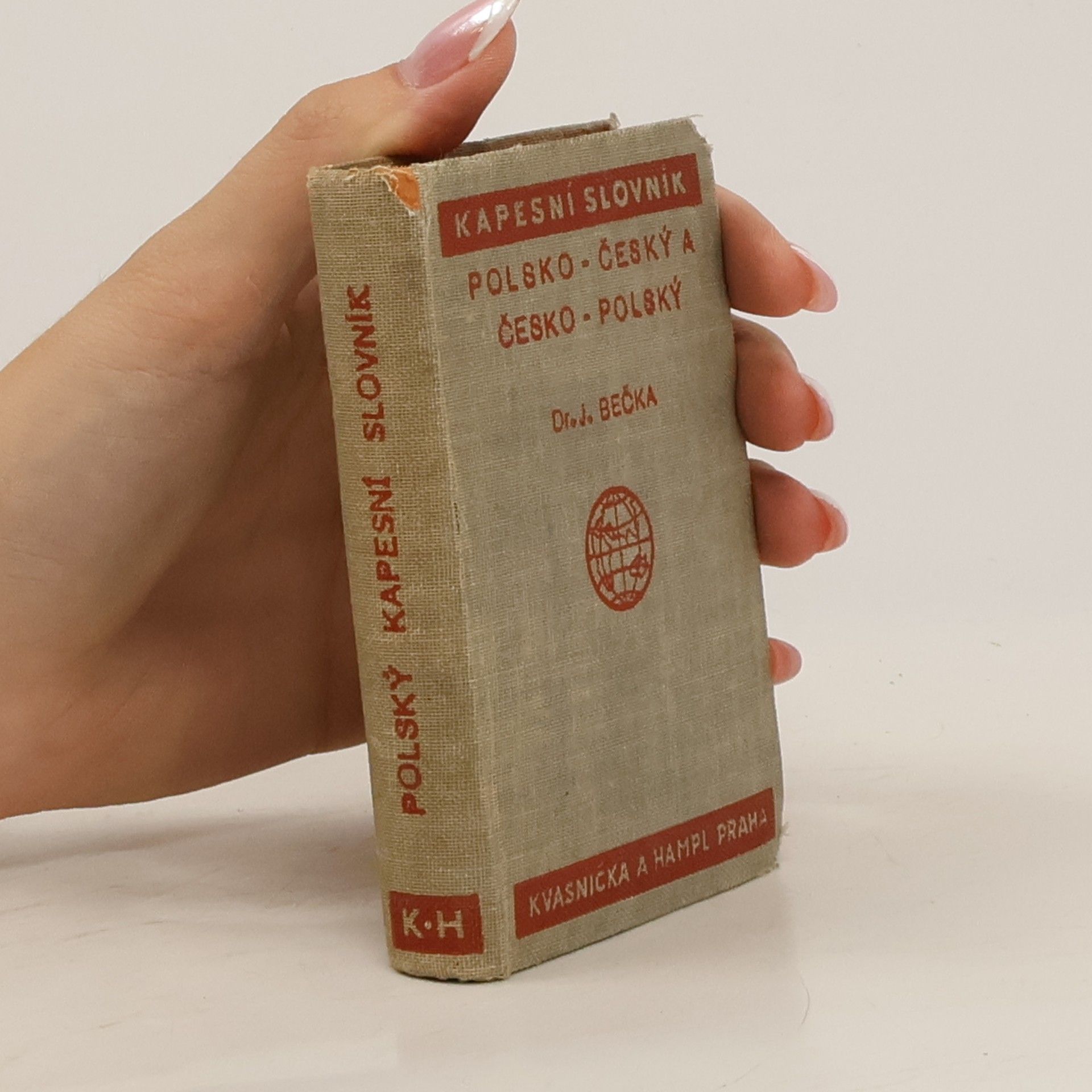 Autorenkollektiv Polsko-český a česko-polský kapesní slovník