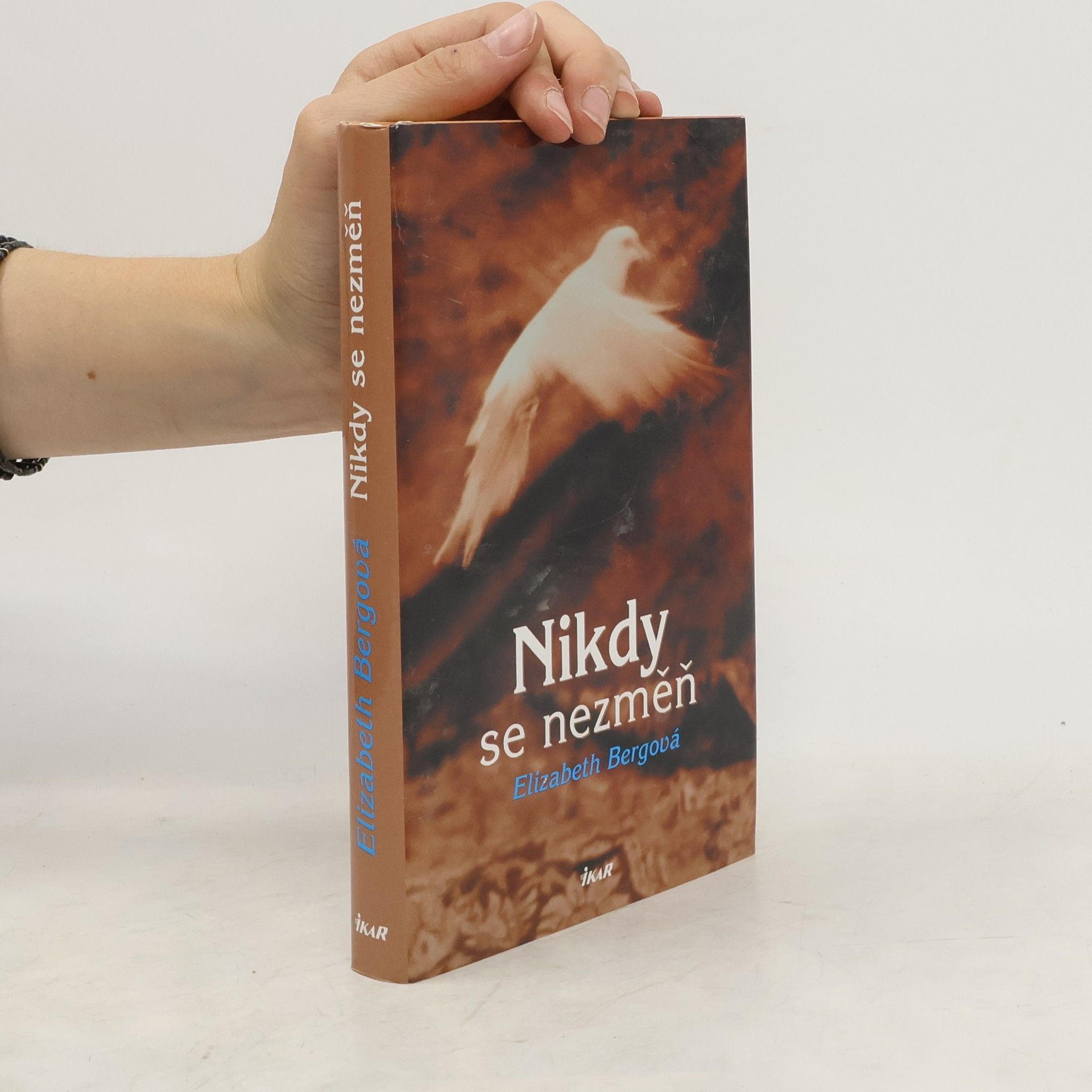 Elizabeth Berg Nikdy se nezměň
