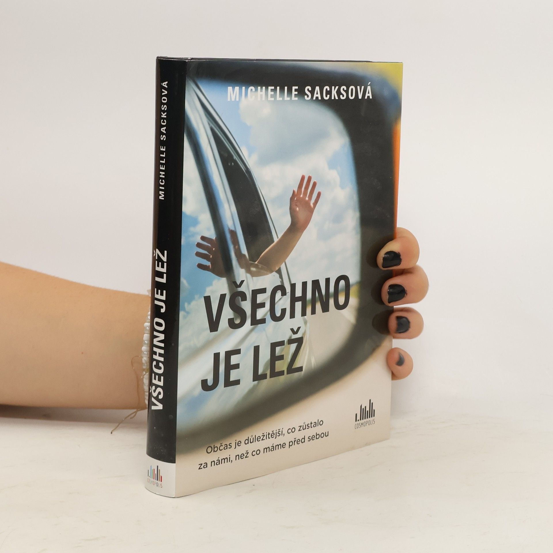 Michelle Sacks Všechno je lež