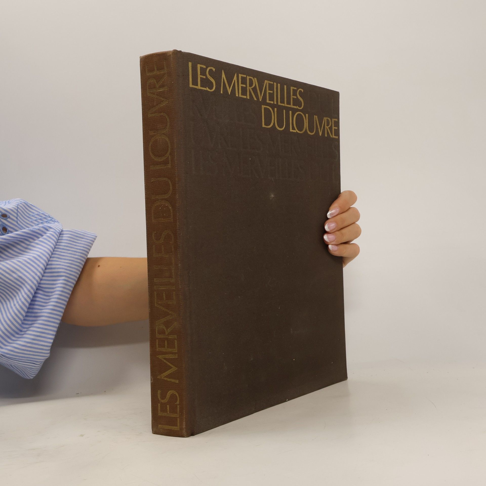Collectif d'auteurs Les merveilles du Louvre