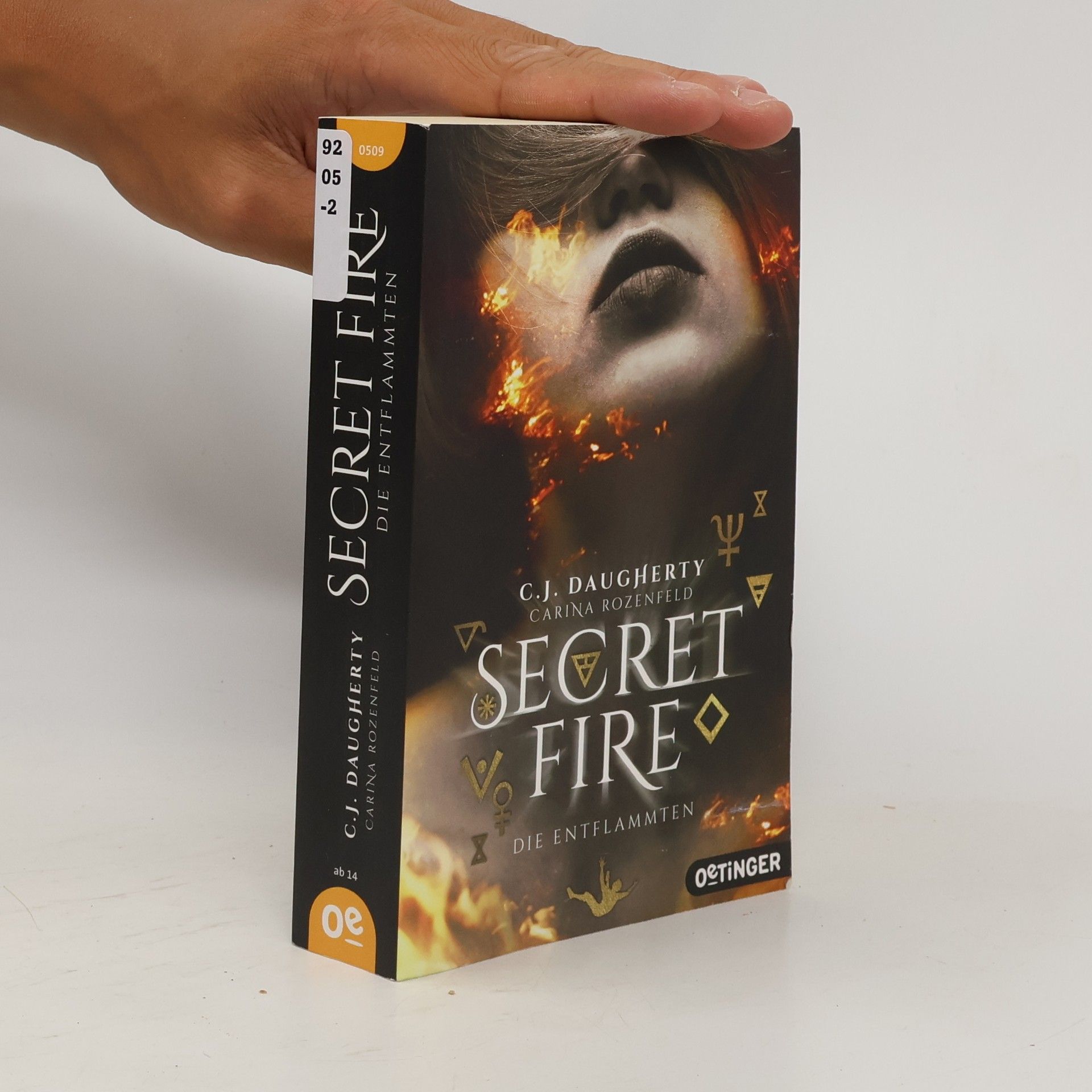 Christi Daugherty Secret fire - die Entflammten