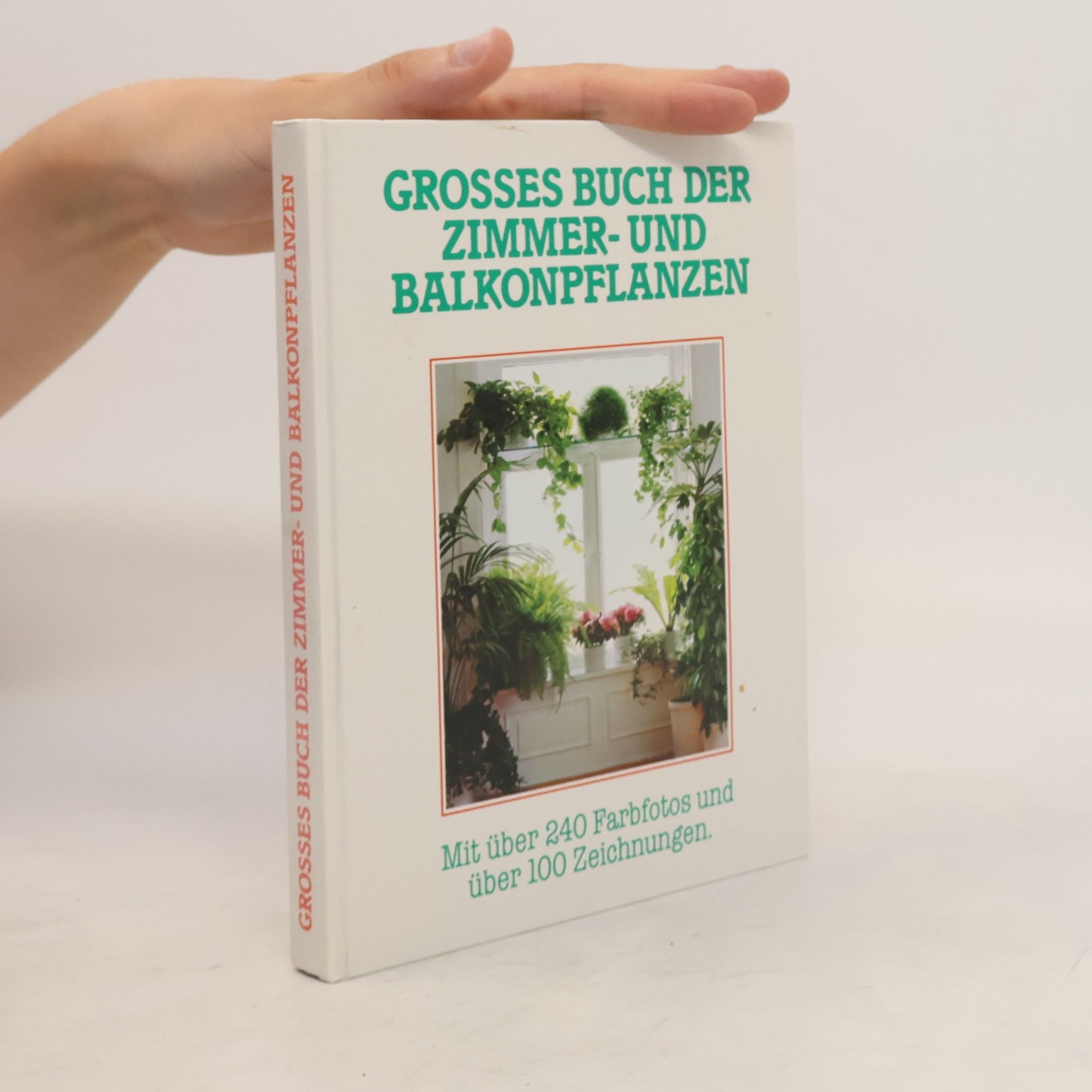 Jürgen Saupe Grossem Buch der Zimmer-und Balkonpflanzen