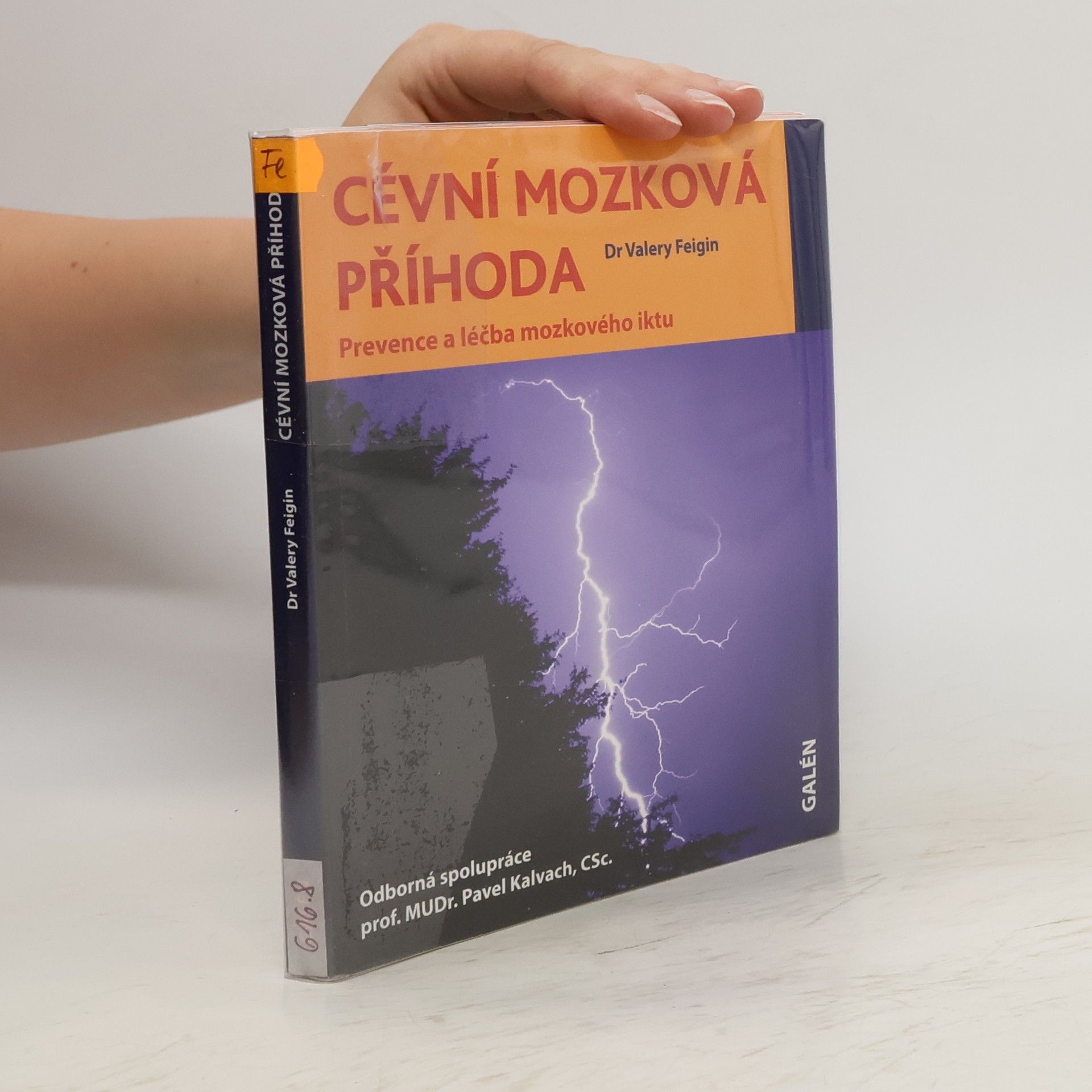 Valery L. Feigin Cévní mozková příhoda - Prevence a léčba mozkového iktu