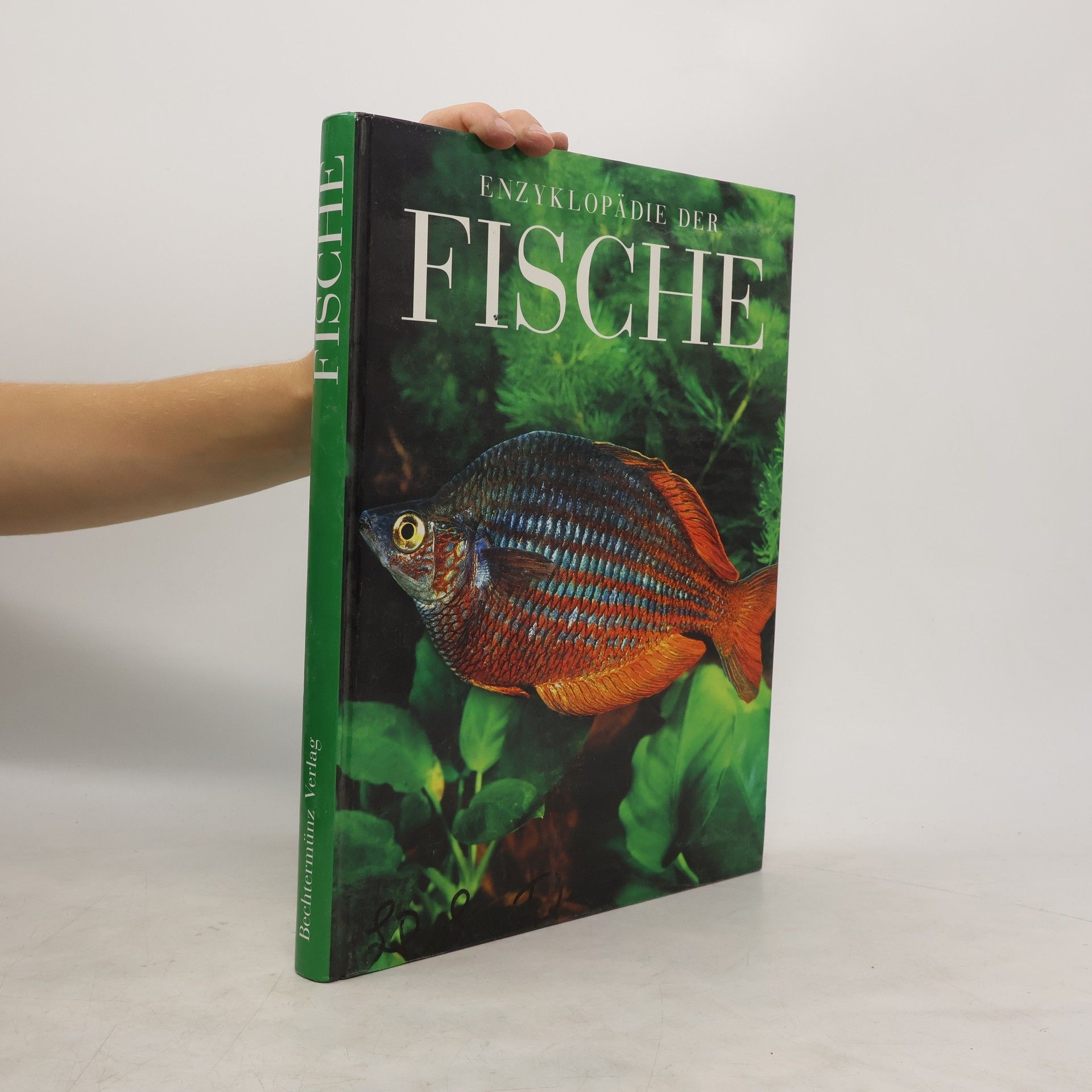David Kirshner Enzyklopädie der Fische