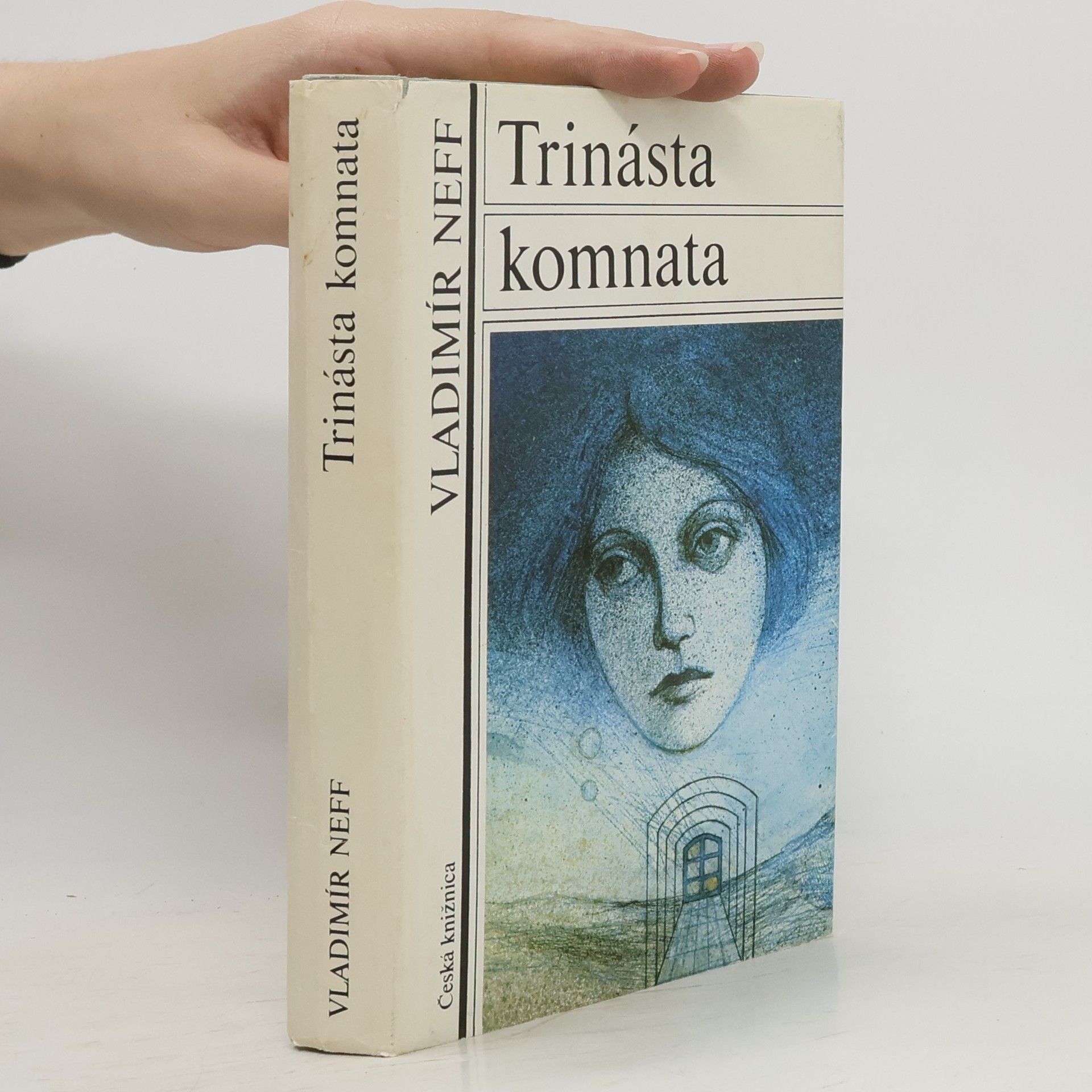 Vladimír Neff Trinásta komnata