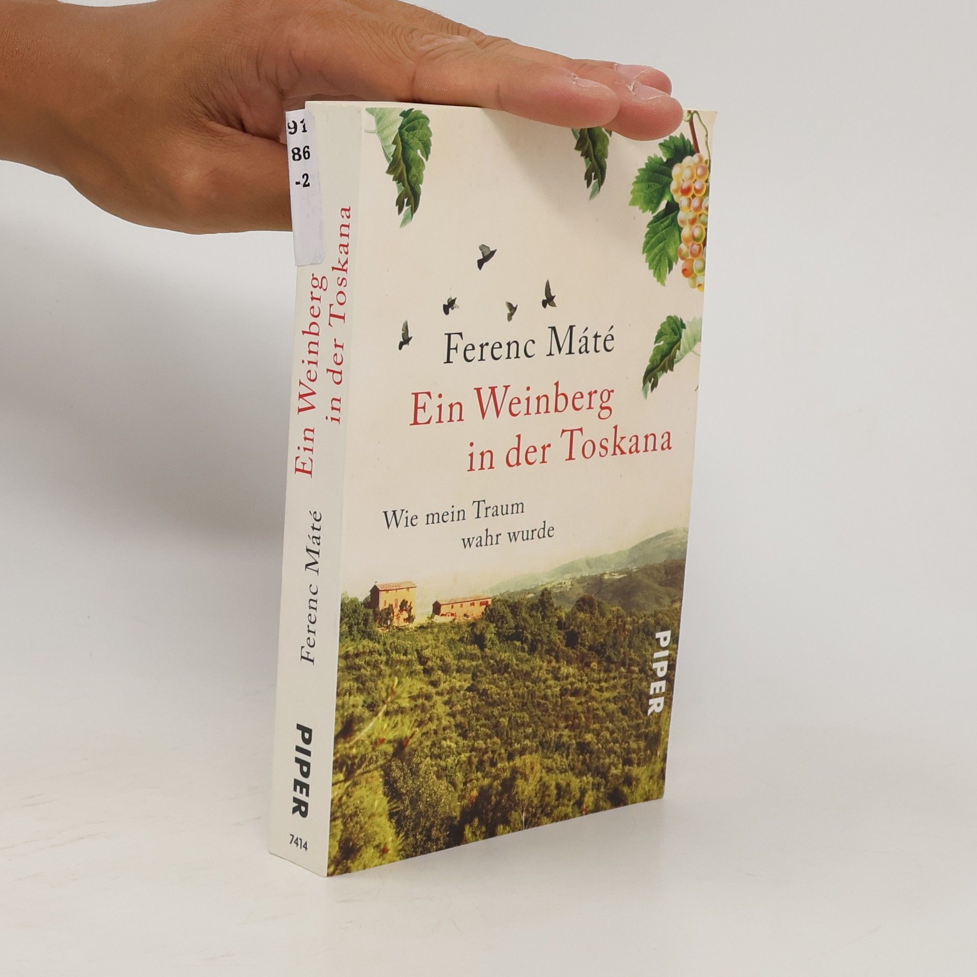 Ferenc Máté Ein Weinberg in der Toskana